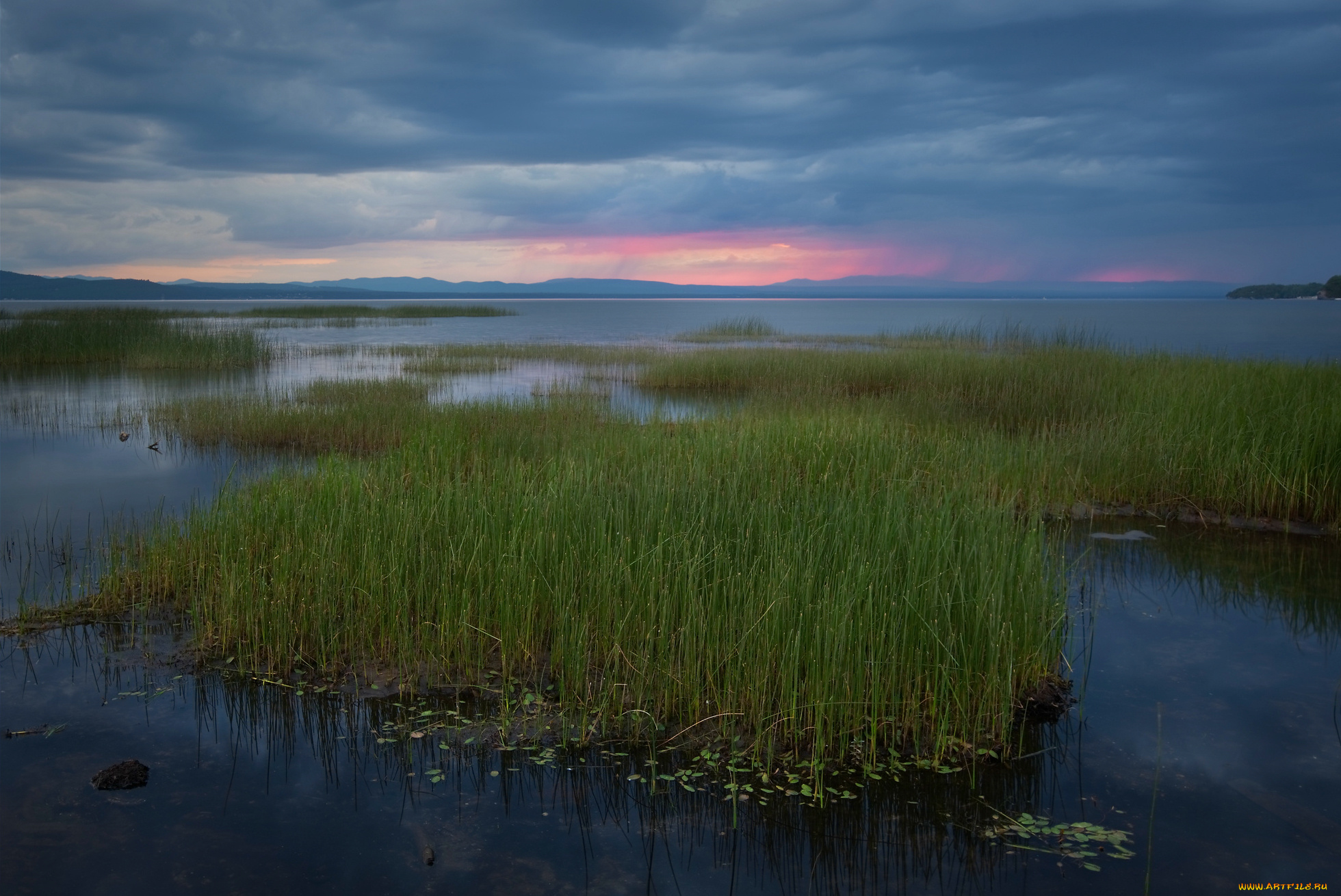 природа, побережье, тучи, небо, синее, закат, вечер, камыш, трава, берег, озеро, вермонт, сша