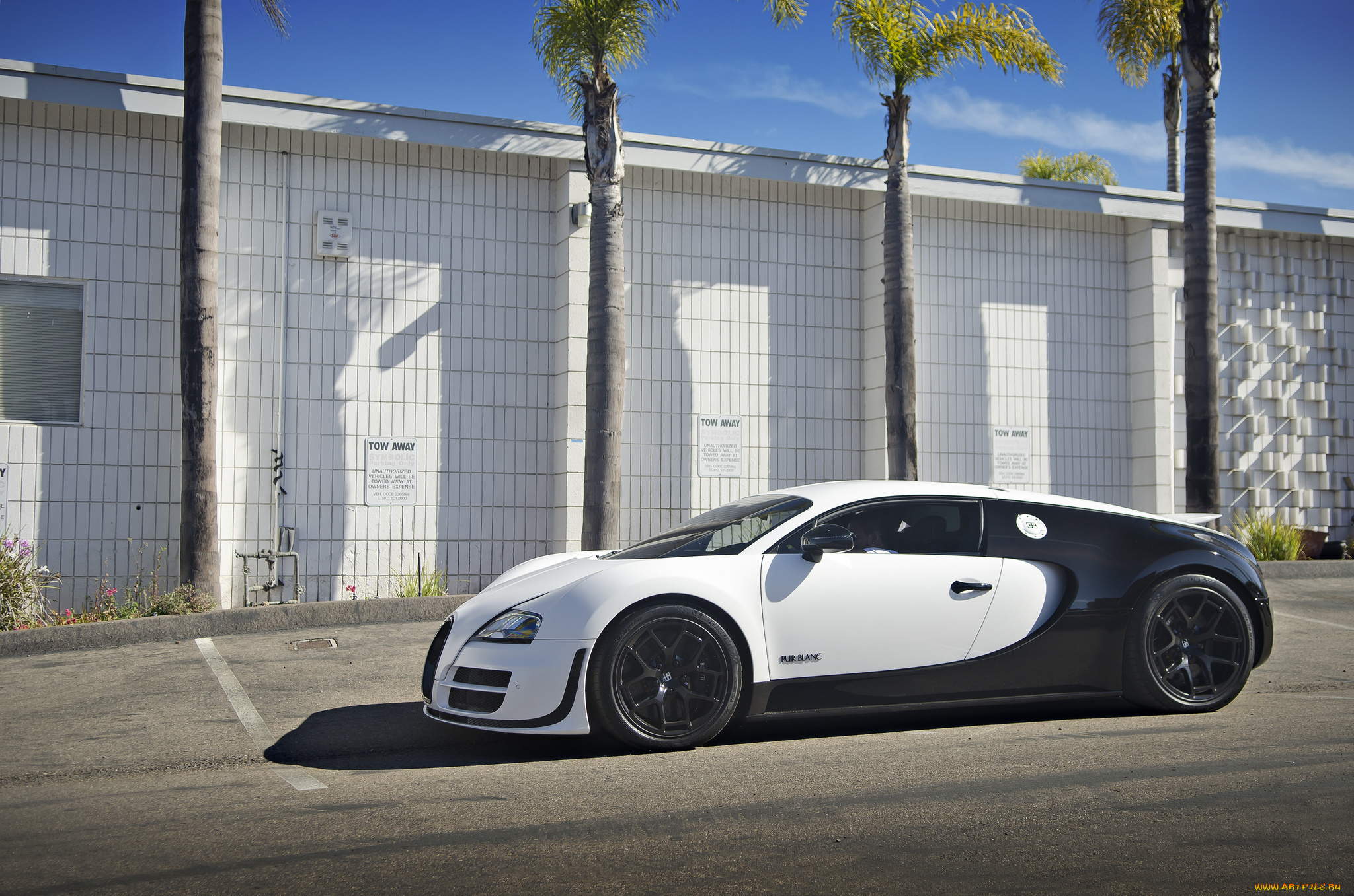 bugatti, veyron, pur, blanc, автомобили, bugatti, a, s, automobiles, франция, класс-люкс, спортивные