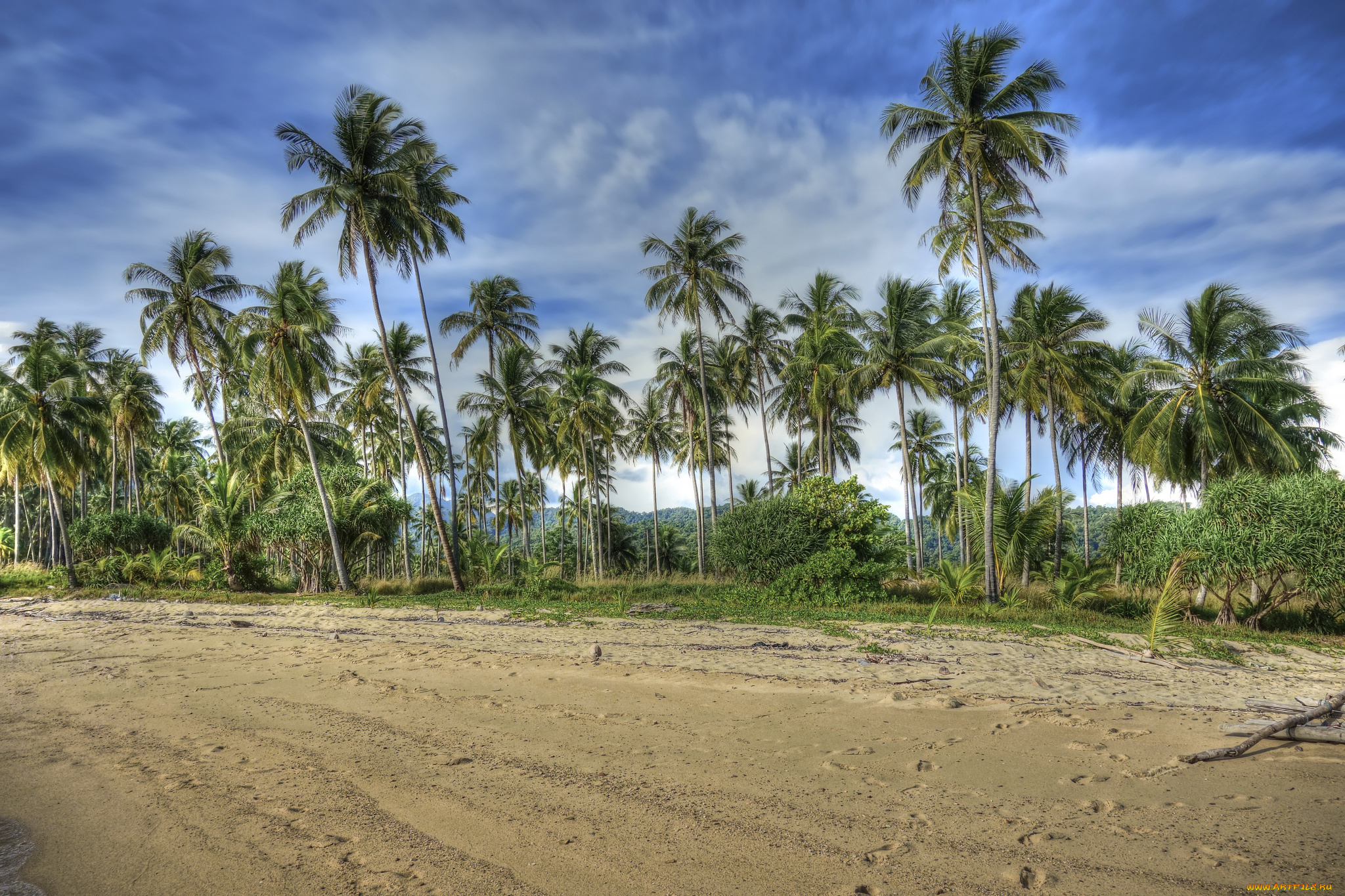 природа, тропики, облака, пальмы, пляж