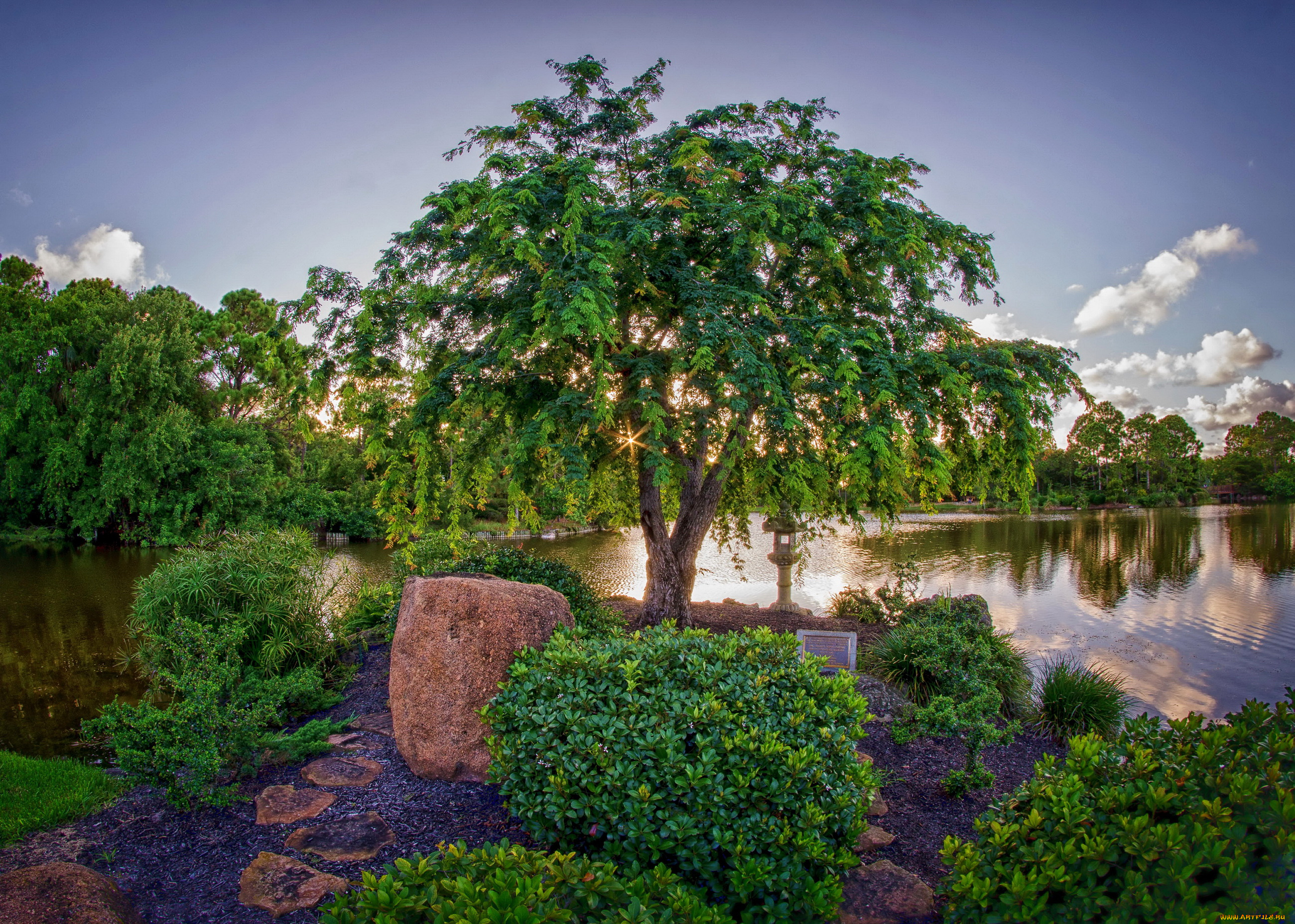 майями, природа, парк, miami, garden, пруд, деревья, japanese, morikami, кусты, сад