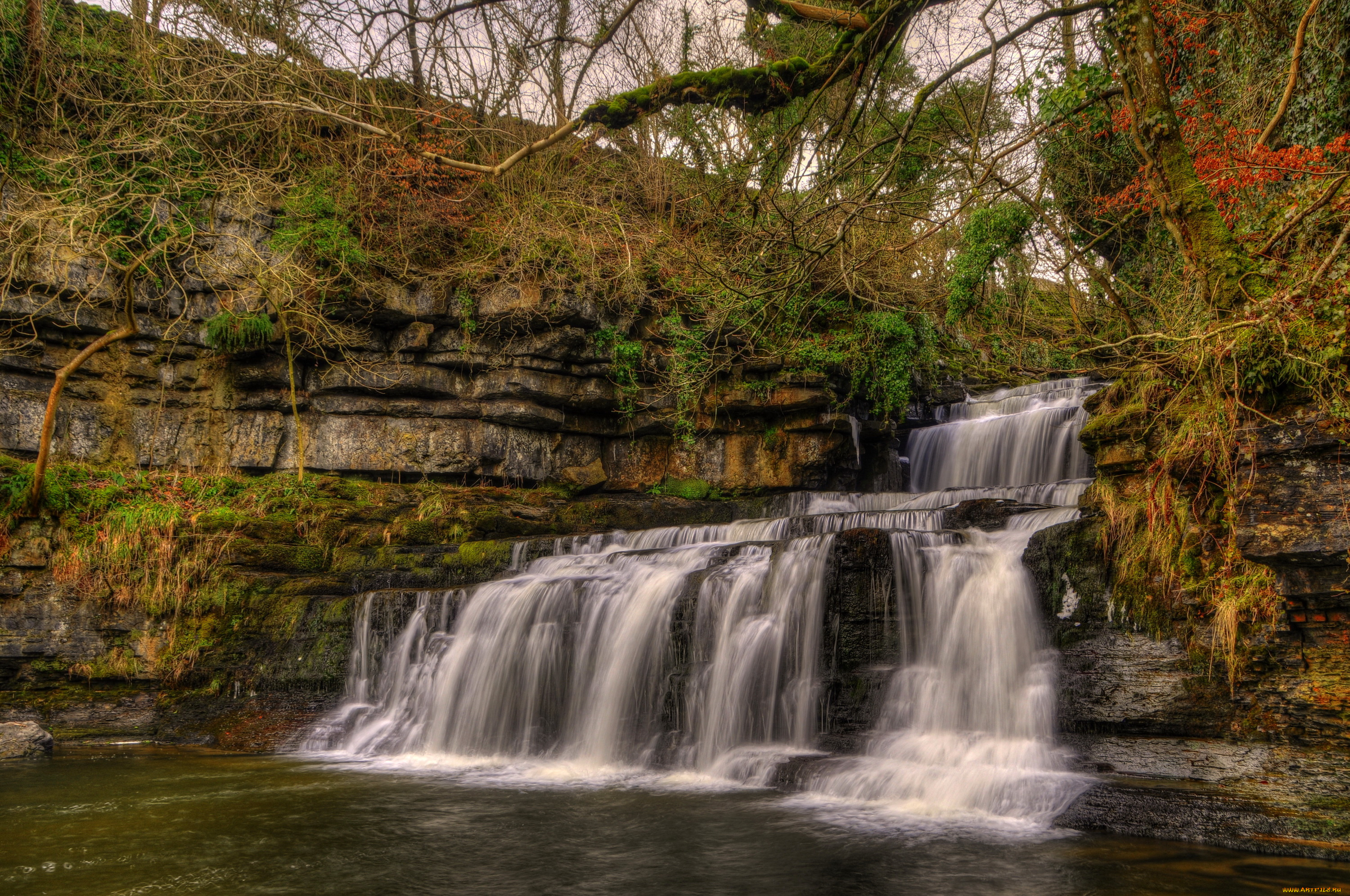 природа, водопады, водопад, англия, река, лес