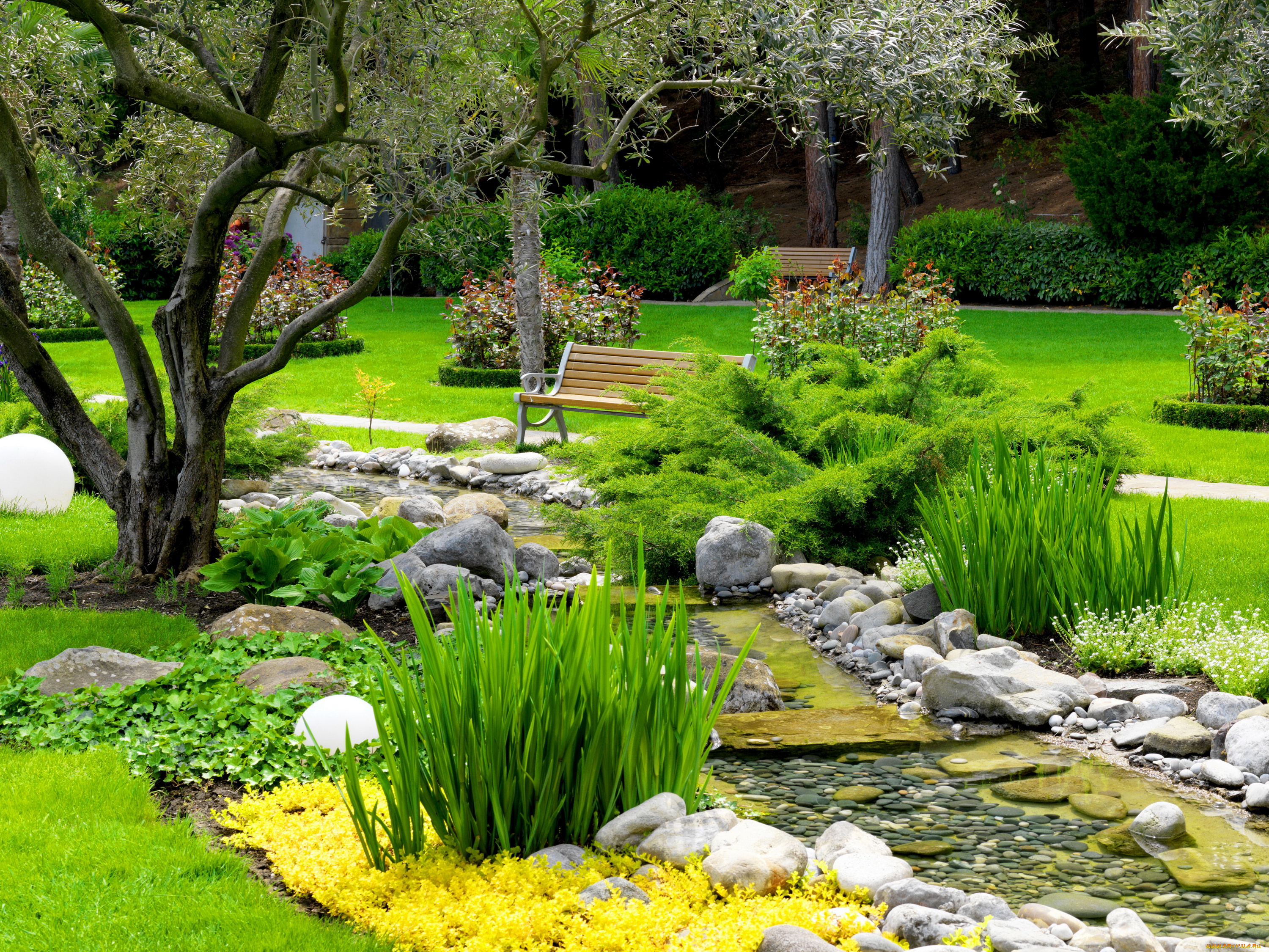 природа, парк, цветы, ручей, кусты