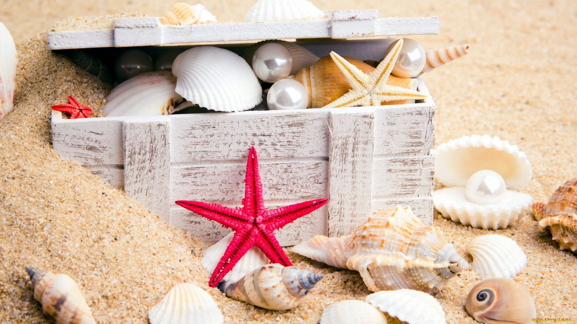 разное, ракушки, , кораллы, , декоративные, и, spa-камни, жемчужины, раковины, ящик