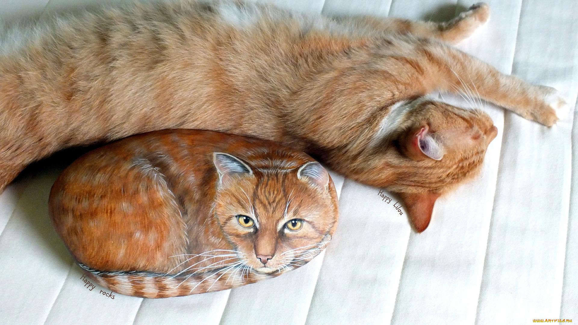 животные, коты, камень, рисунок, кот, спит, поза