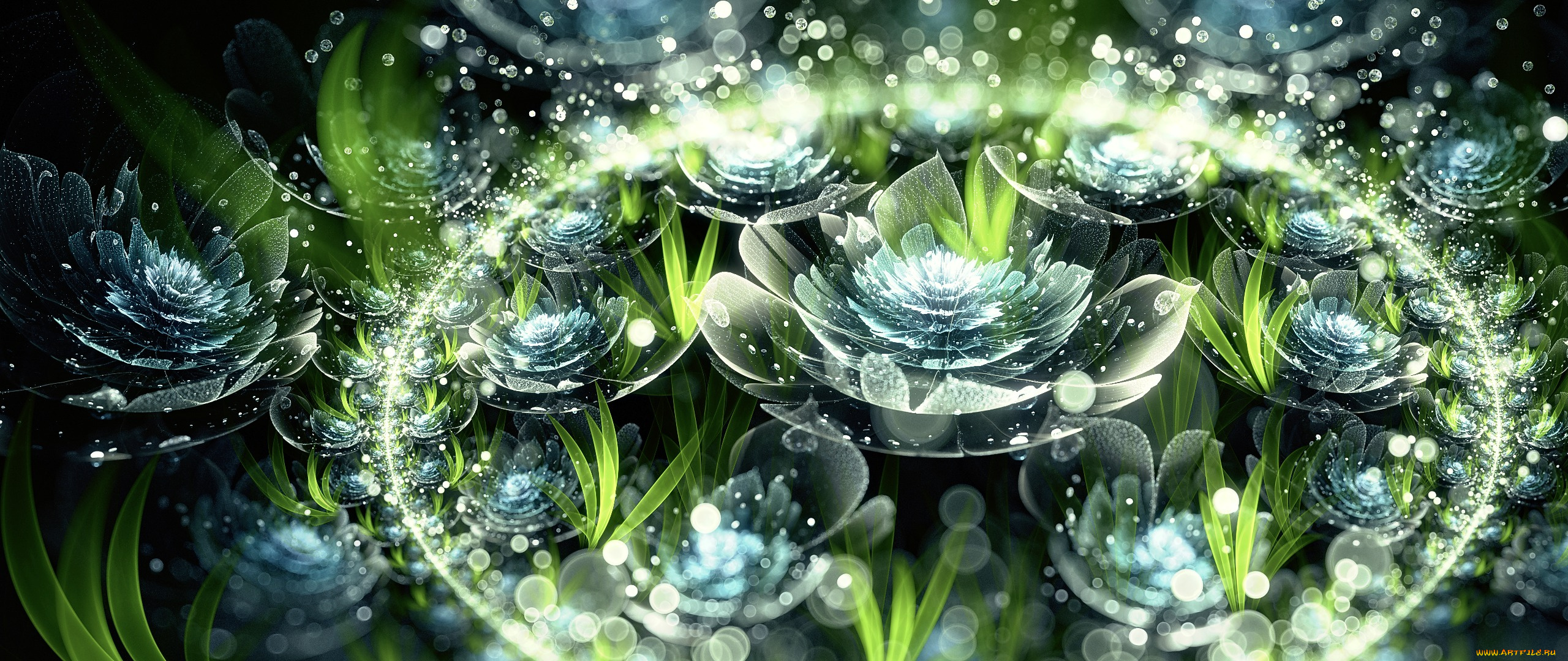 3д, графика, цветы, , flowers, цветы, капли, абстракция, лепестки, бутон