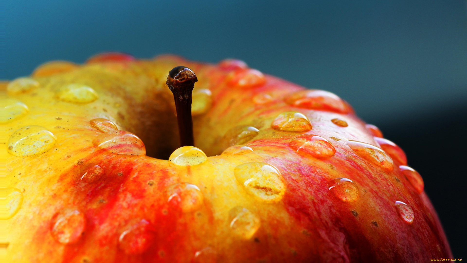 еда, Яблоки, капли, макро, плод, яблоко