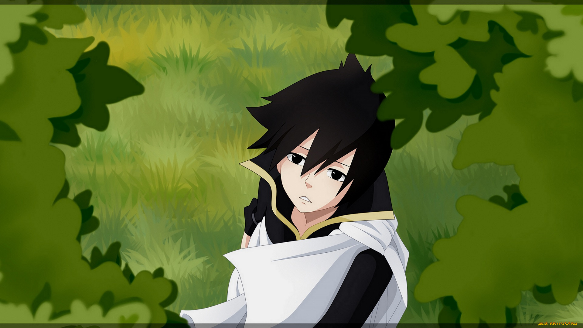 аниме, fairy, tail, зереф