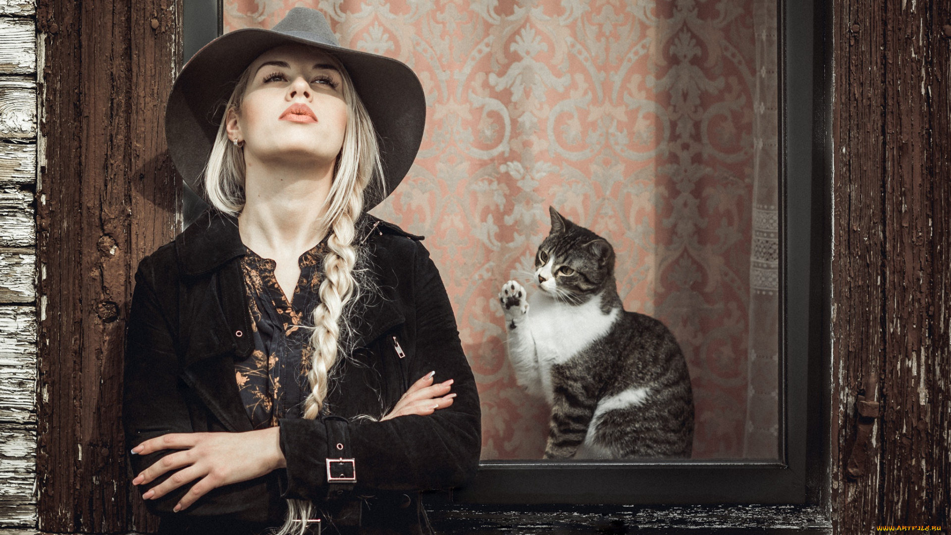 девушки, -unsort, , блондинки, окно, коса, шляпа, кот, девушка