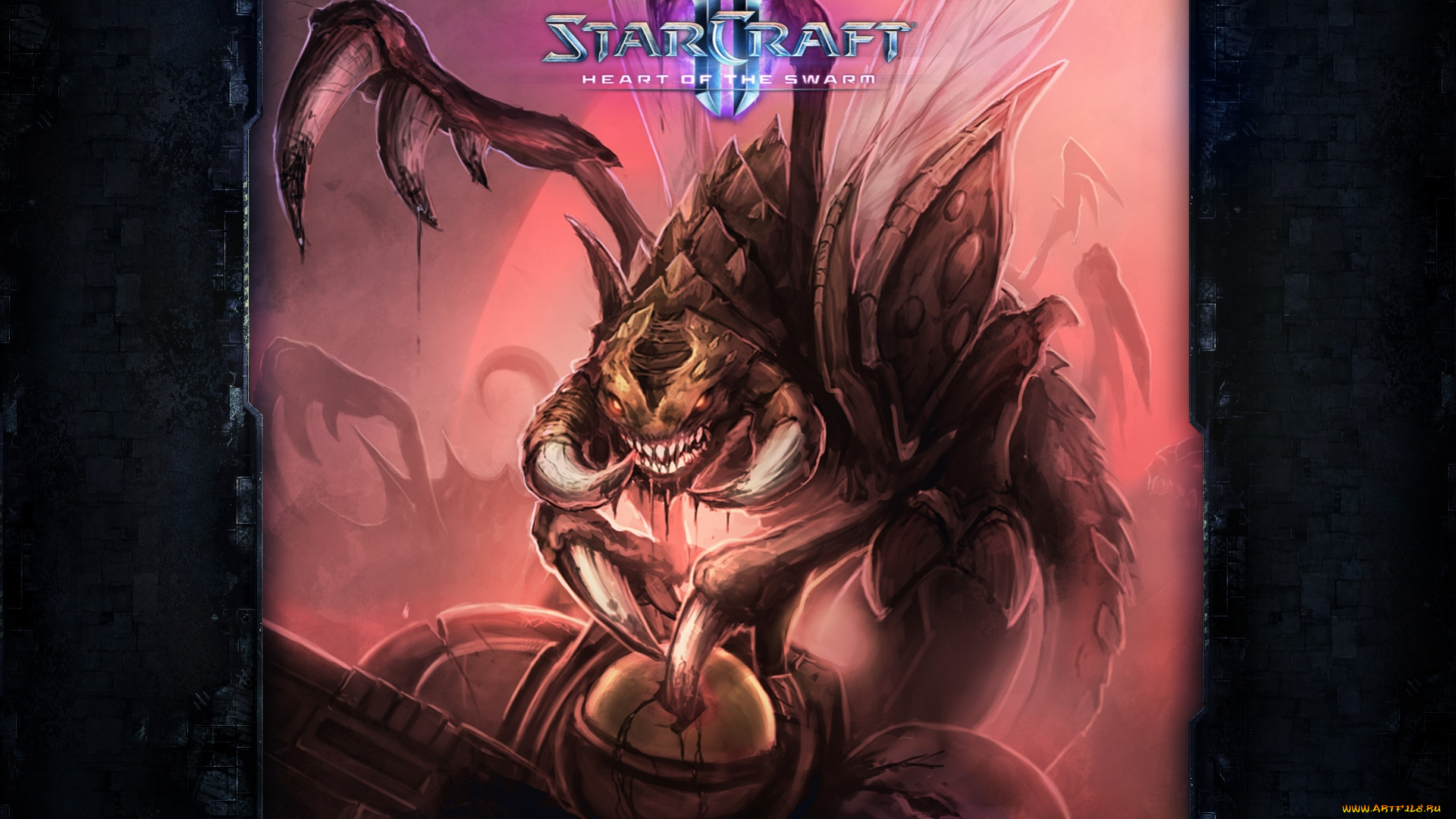 видео, игры, starcraft, ii, , heart, of, the, swarm, starcraft, 2, игра, heart, of, the, swarm, стратегия