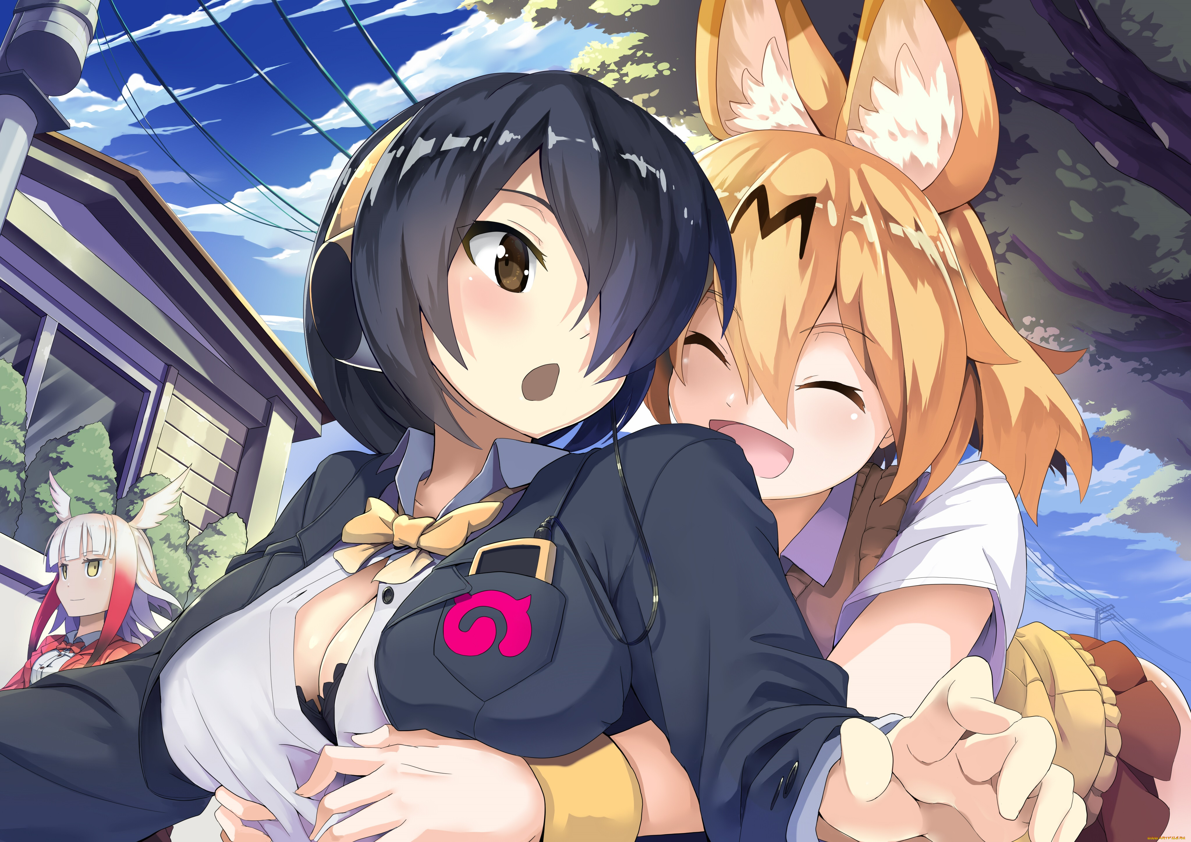 аниме, kemono, friends, kemono, friends