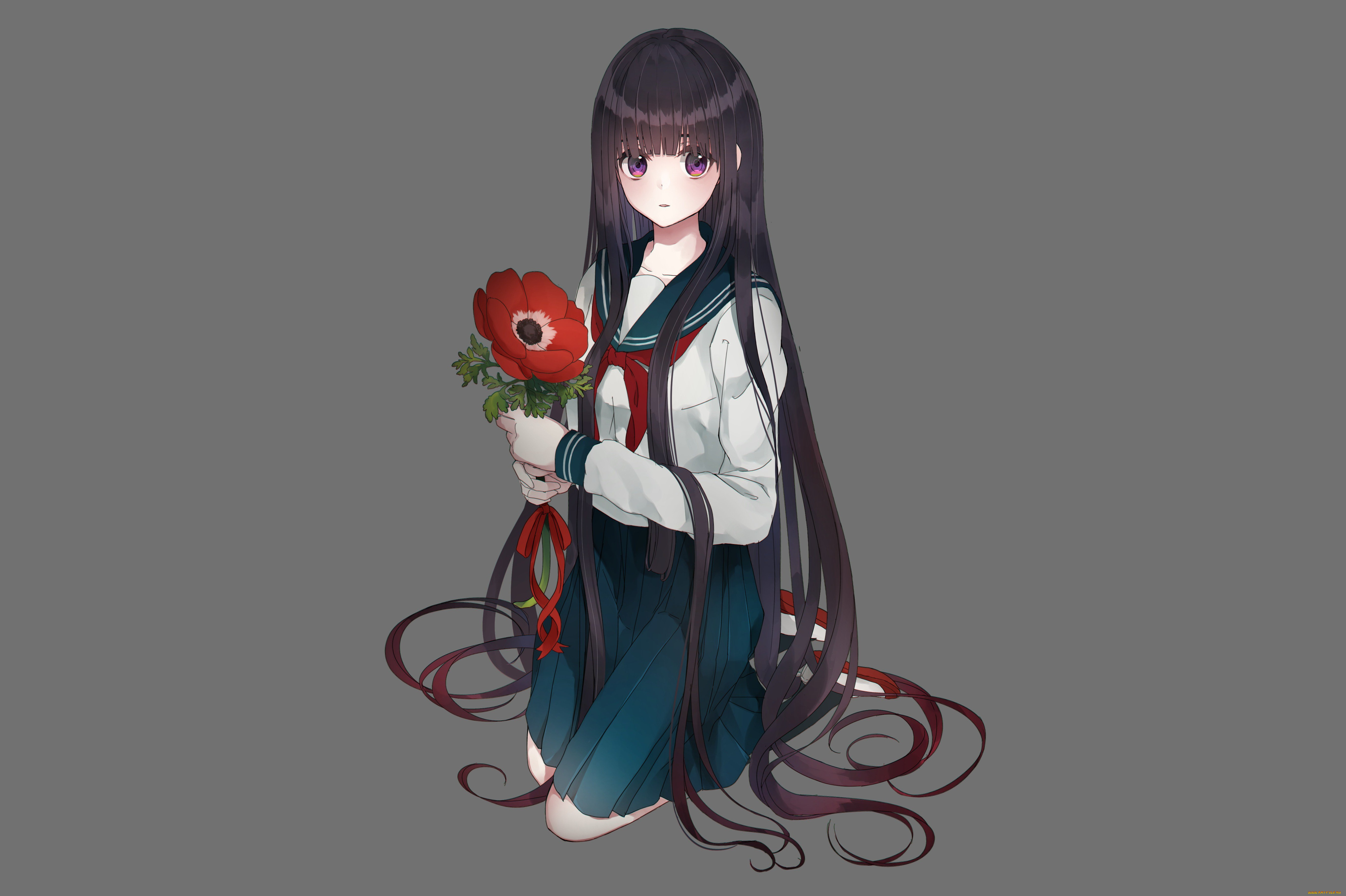 аниме, unknown, , другое, usamochi