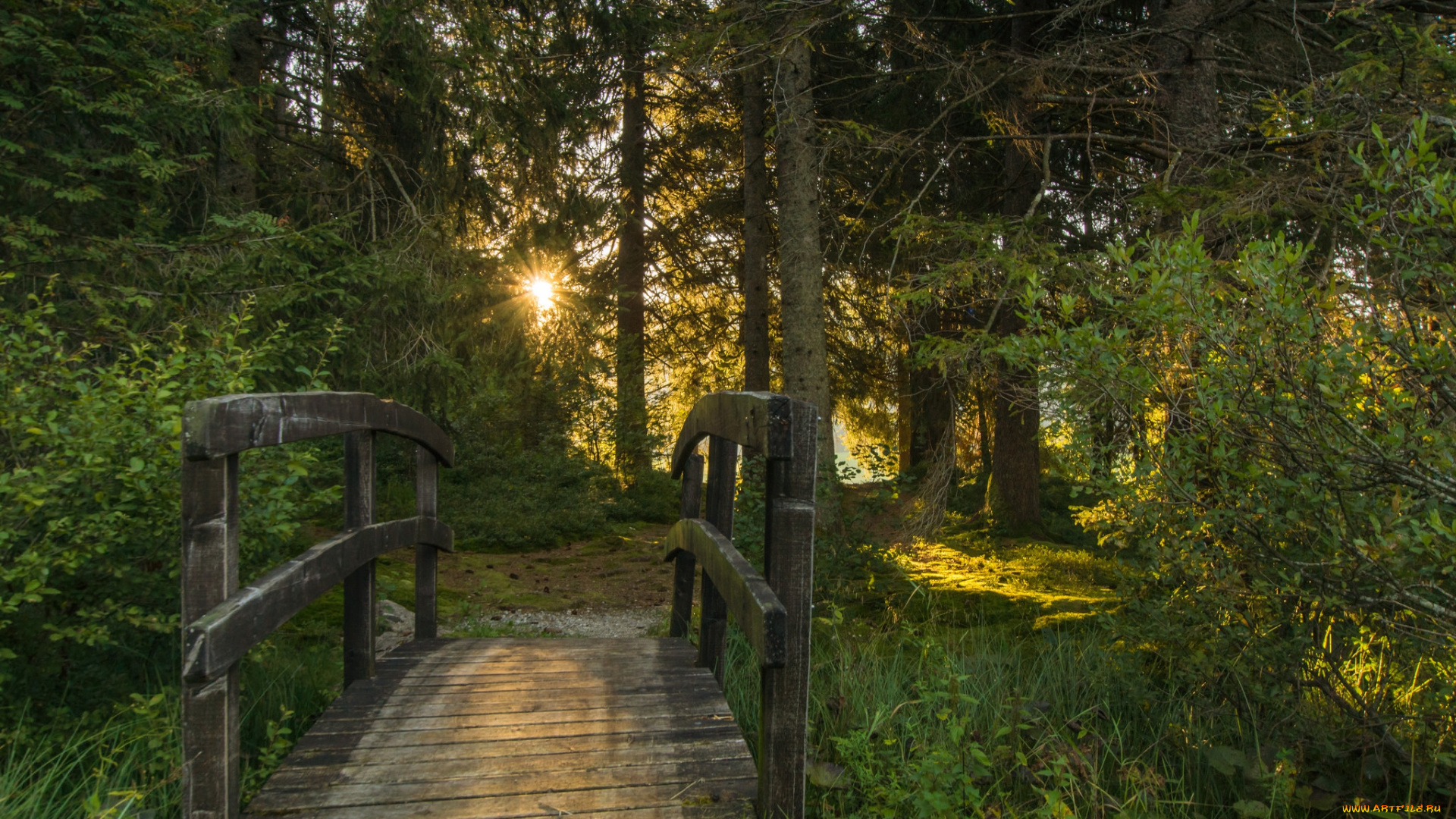 природа, дороги, простор