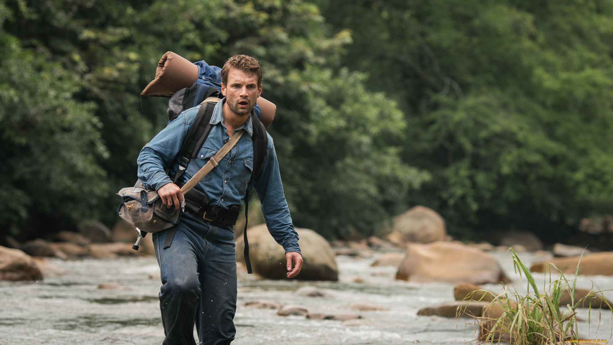 кино, фильмы, jungle