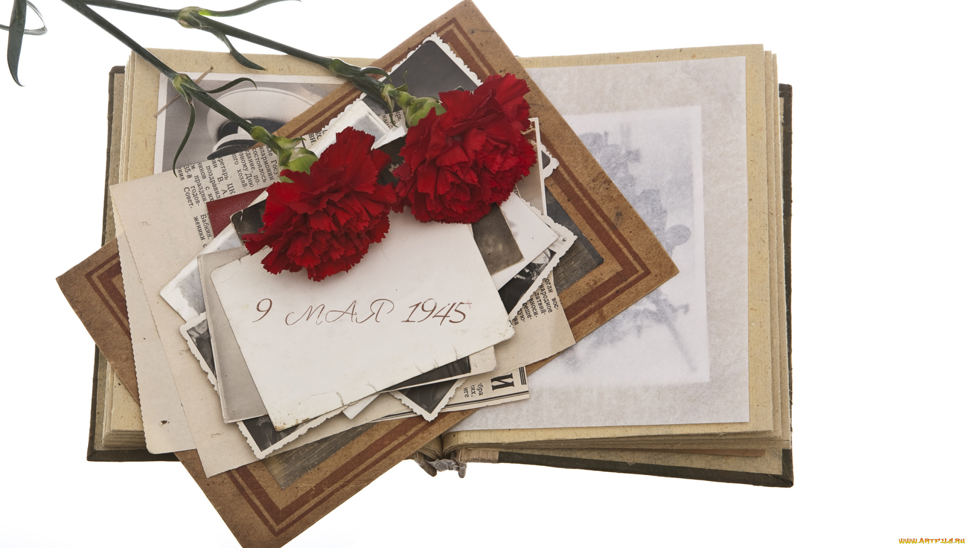 праздничные, день, победы, фон, цветы