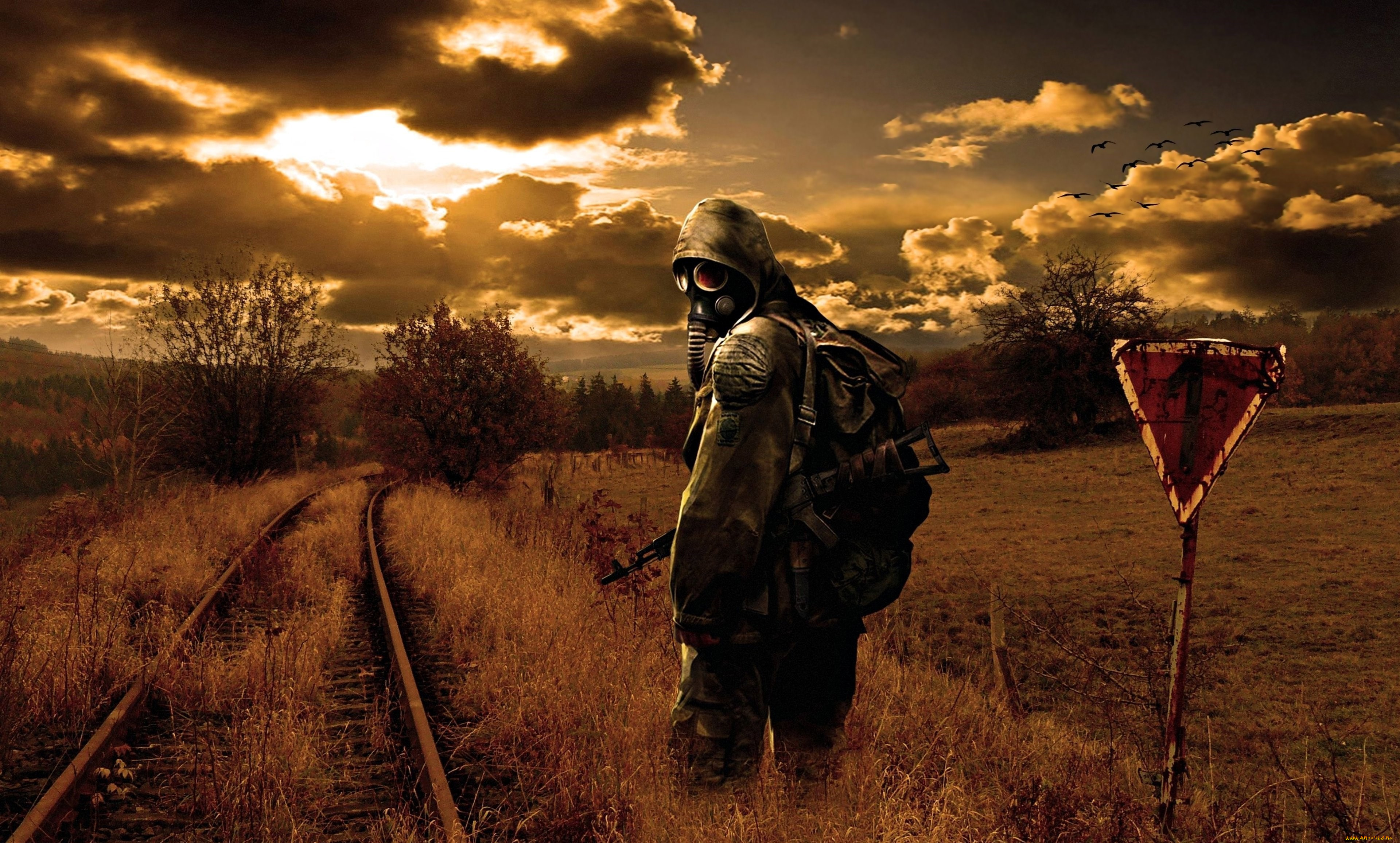 видео, игры, сталкер, противогаз, оружие, рельсы, зона