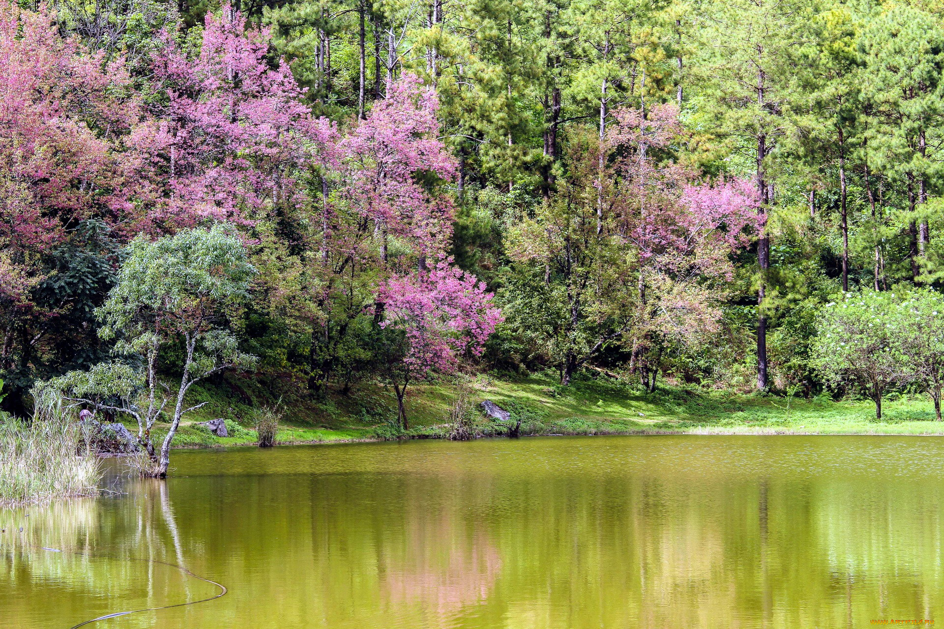 thailand, природа, реки, озера