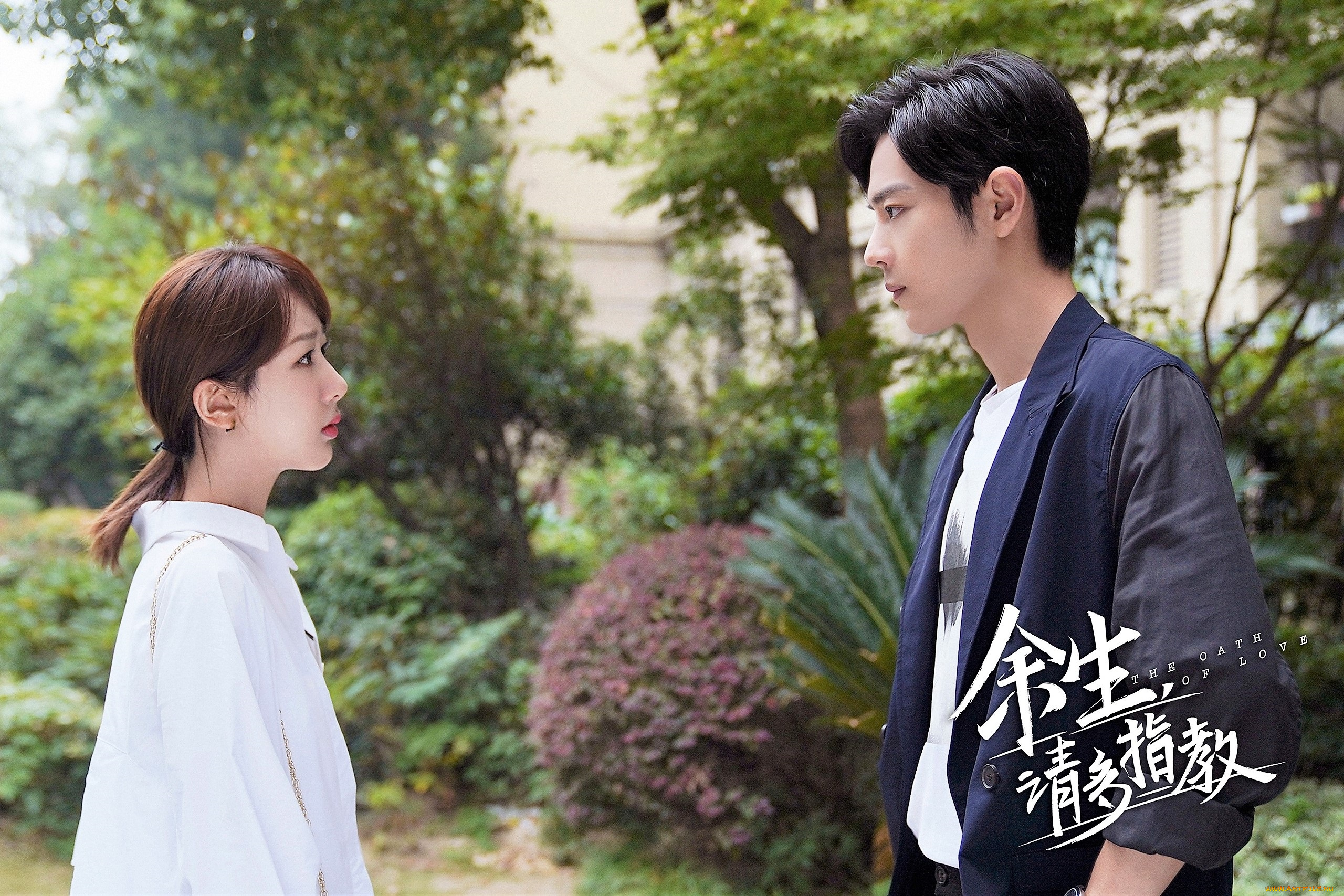 кино, фильмы, the, oath, of, love, гу, вэй, девушка, разговор