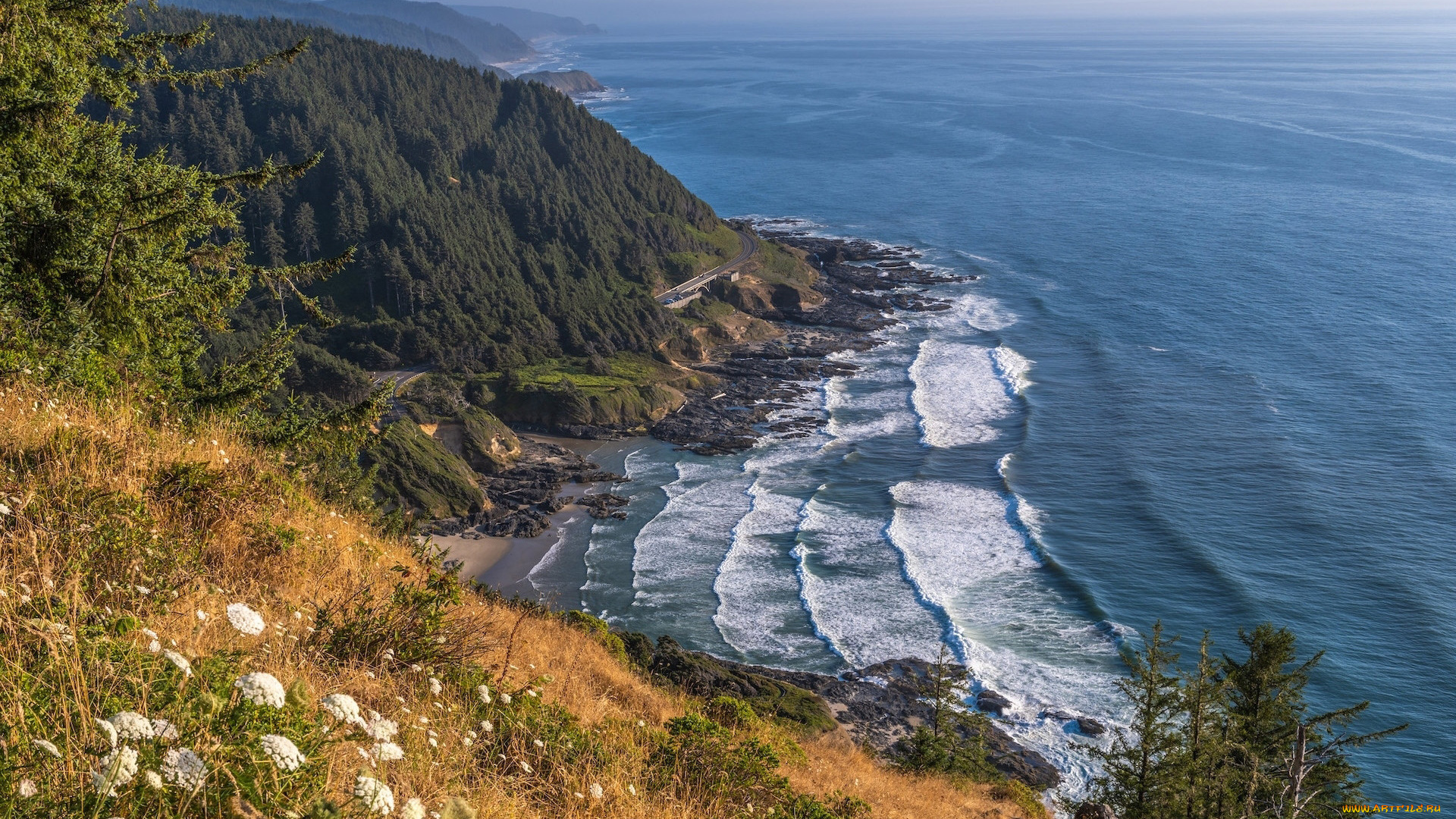 oregon, usa, природа, побережье