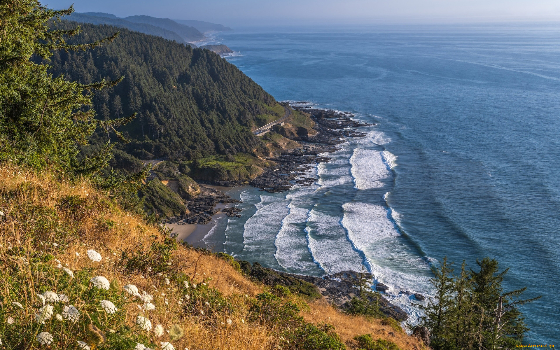 oregon, usa, природа, побережье