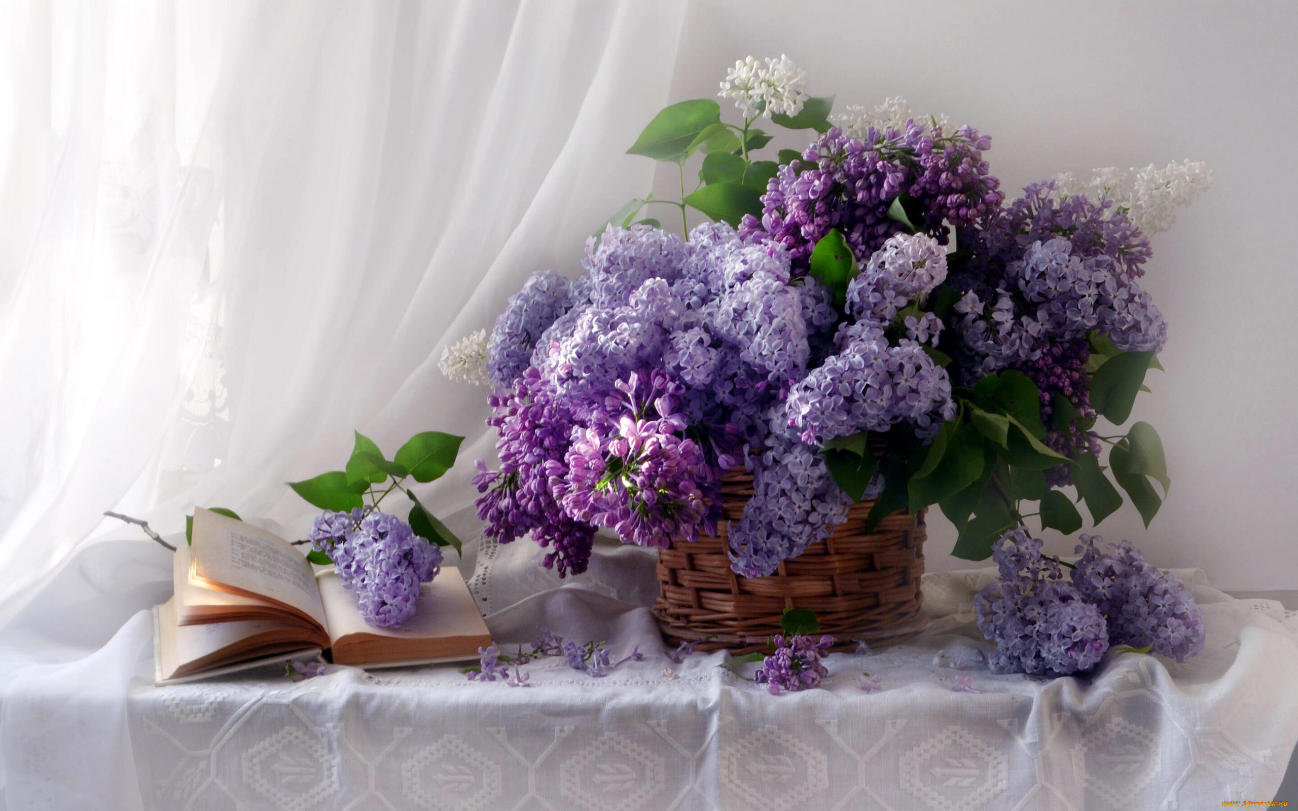 цветы, сирень, корзинка, лиловая, белая, книга