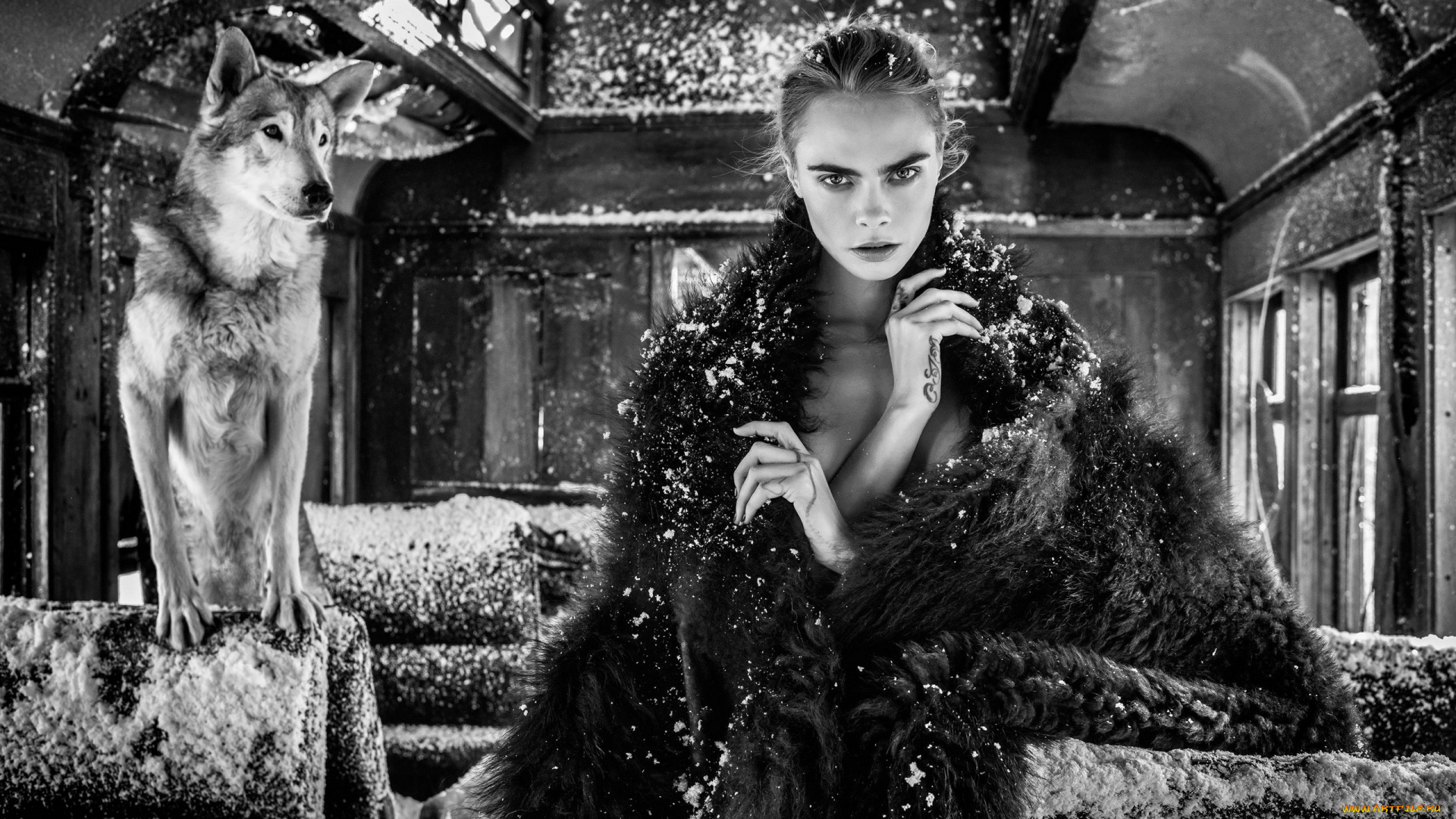 девушки, cara, delevingne, монохром, модель, тату