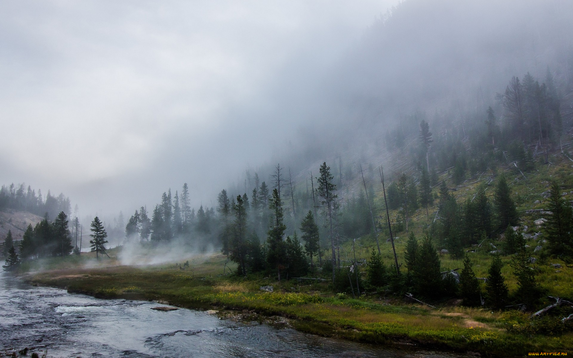 yellowstone, национальный, парк, природа, реки, озера, пейзаж, йеллоустонский, национальный, парк, лес, река, туман, горы, деревья, трава, cша