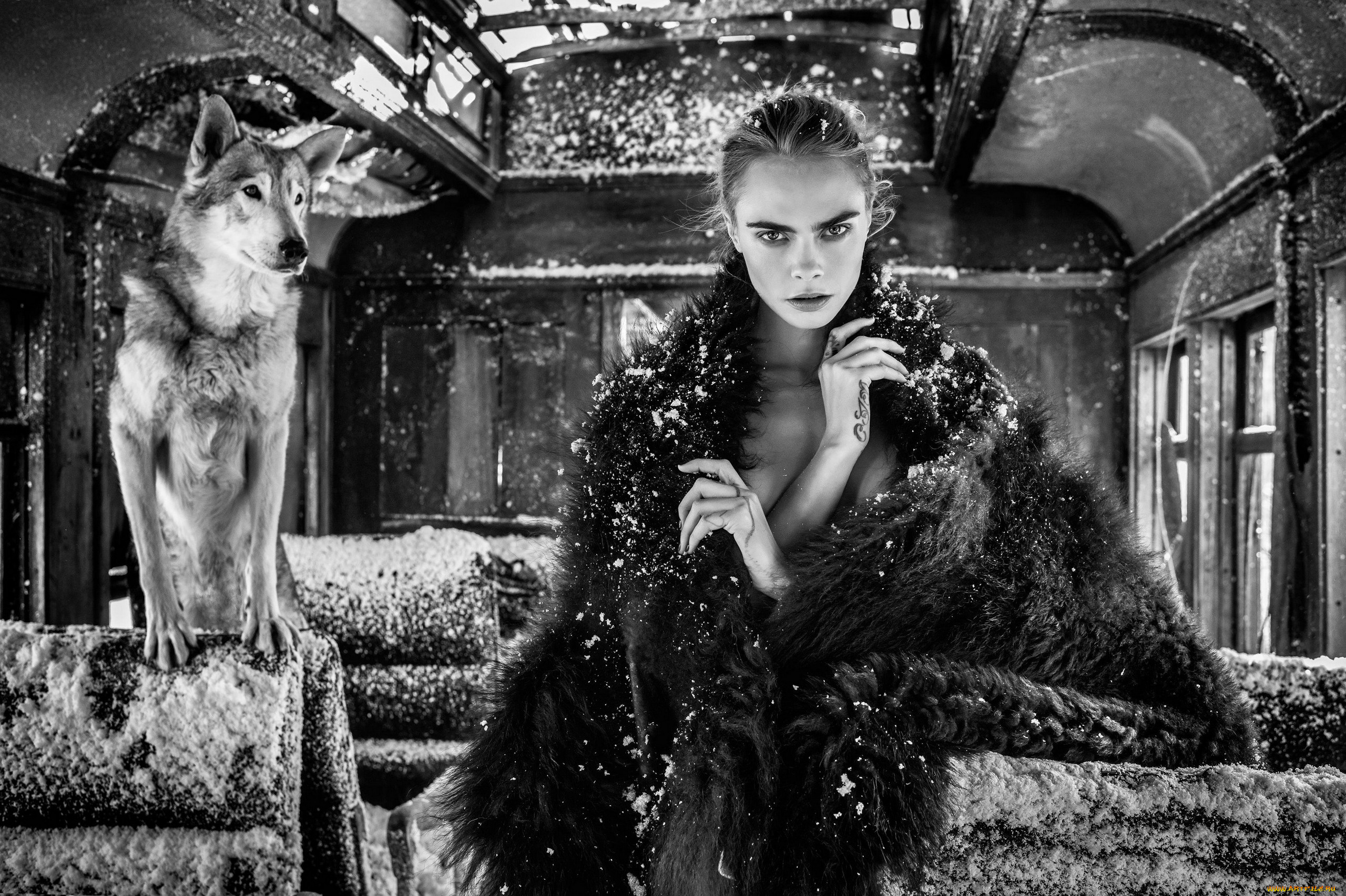 девушки, cara, delevingne, монохром, модель, тату