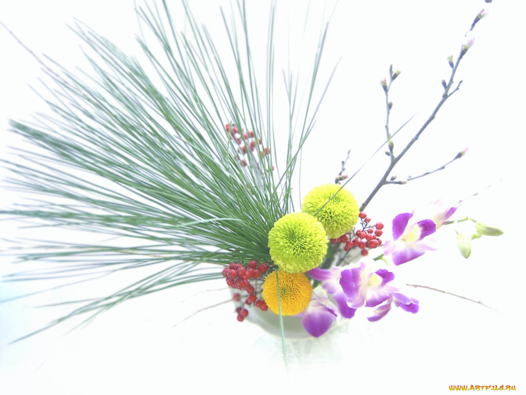 цветы, букеты, композиции