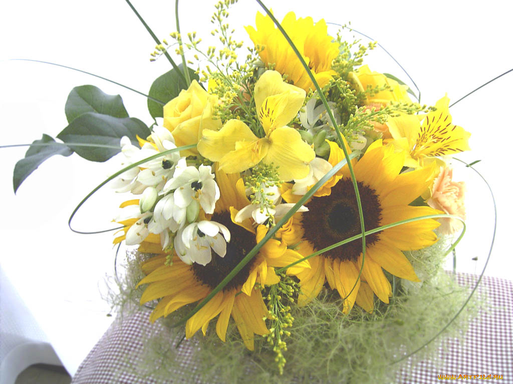 цветы, букеты, композиции