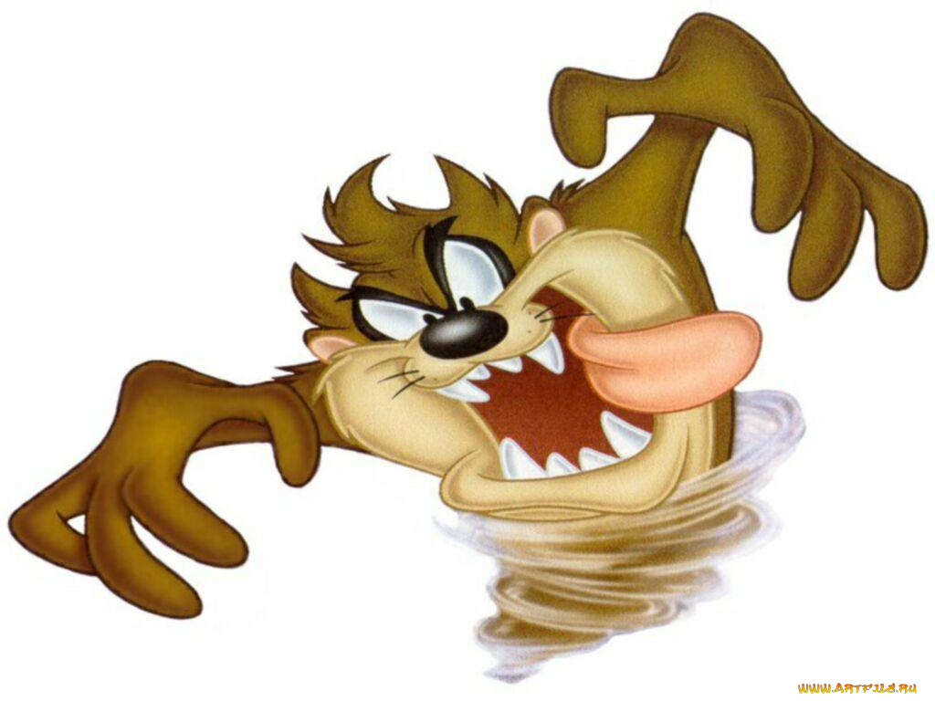 мультфильмы, looney, tunes