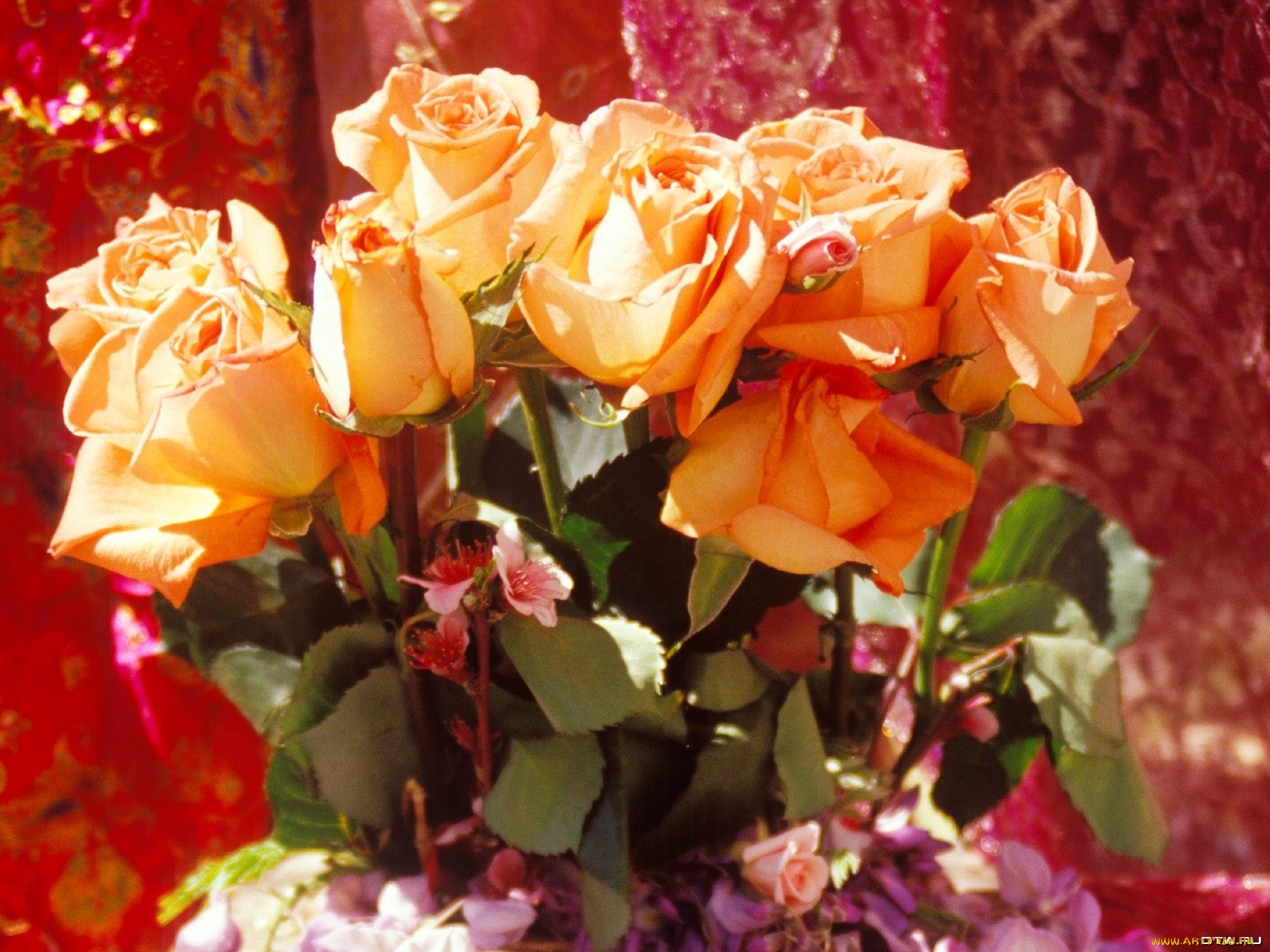 цветы, розы
