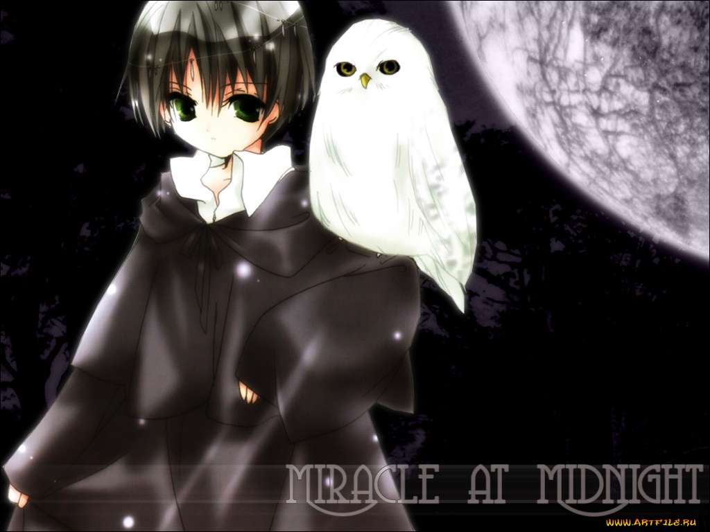 аниме, aquarian, age