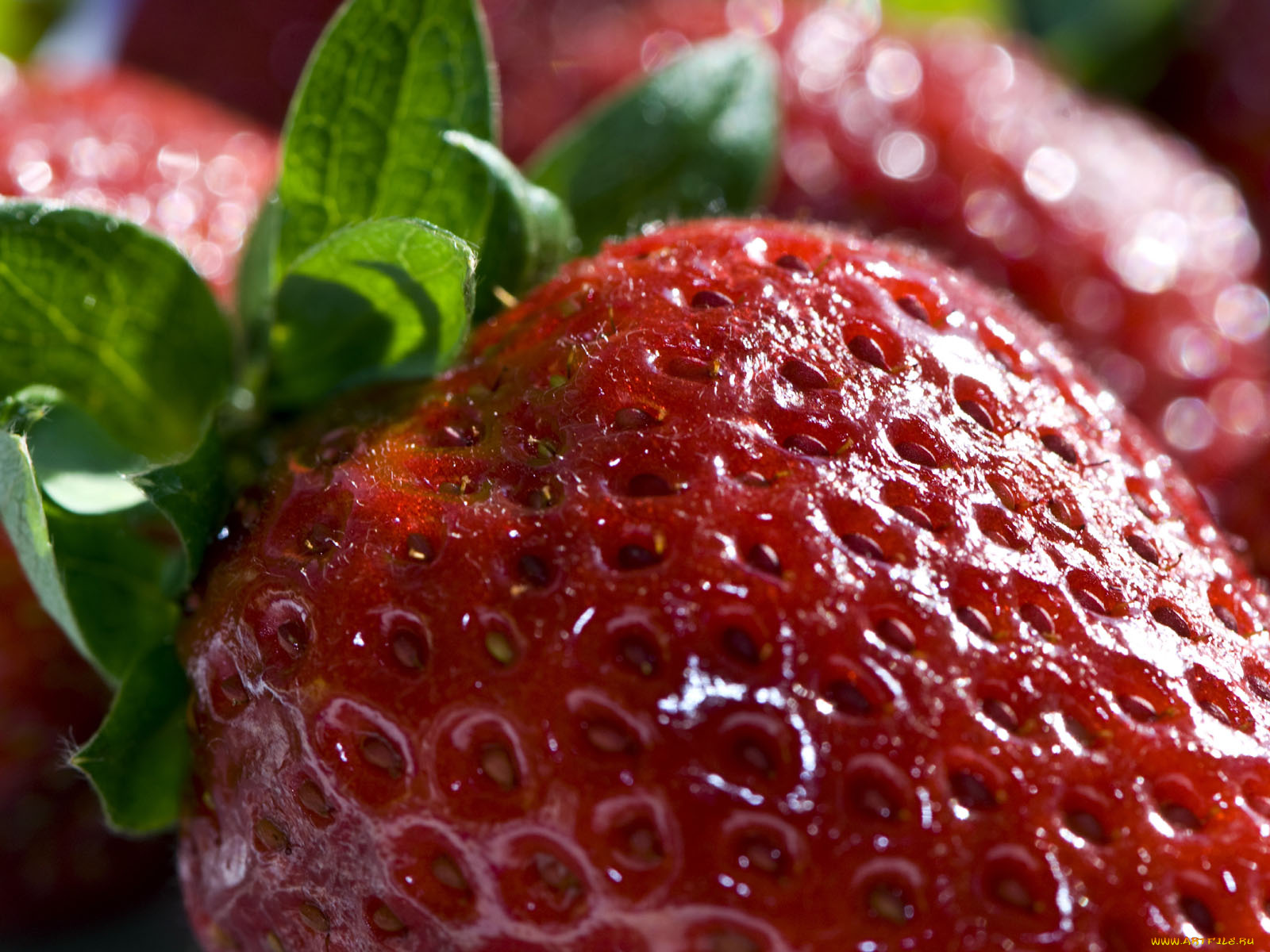 еда, клубника, земляника