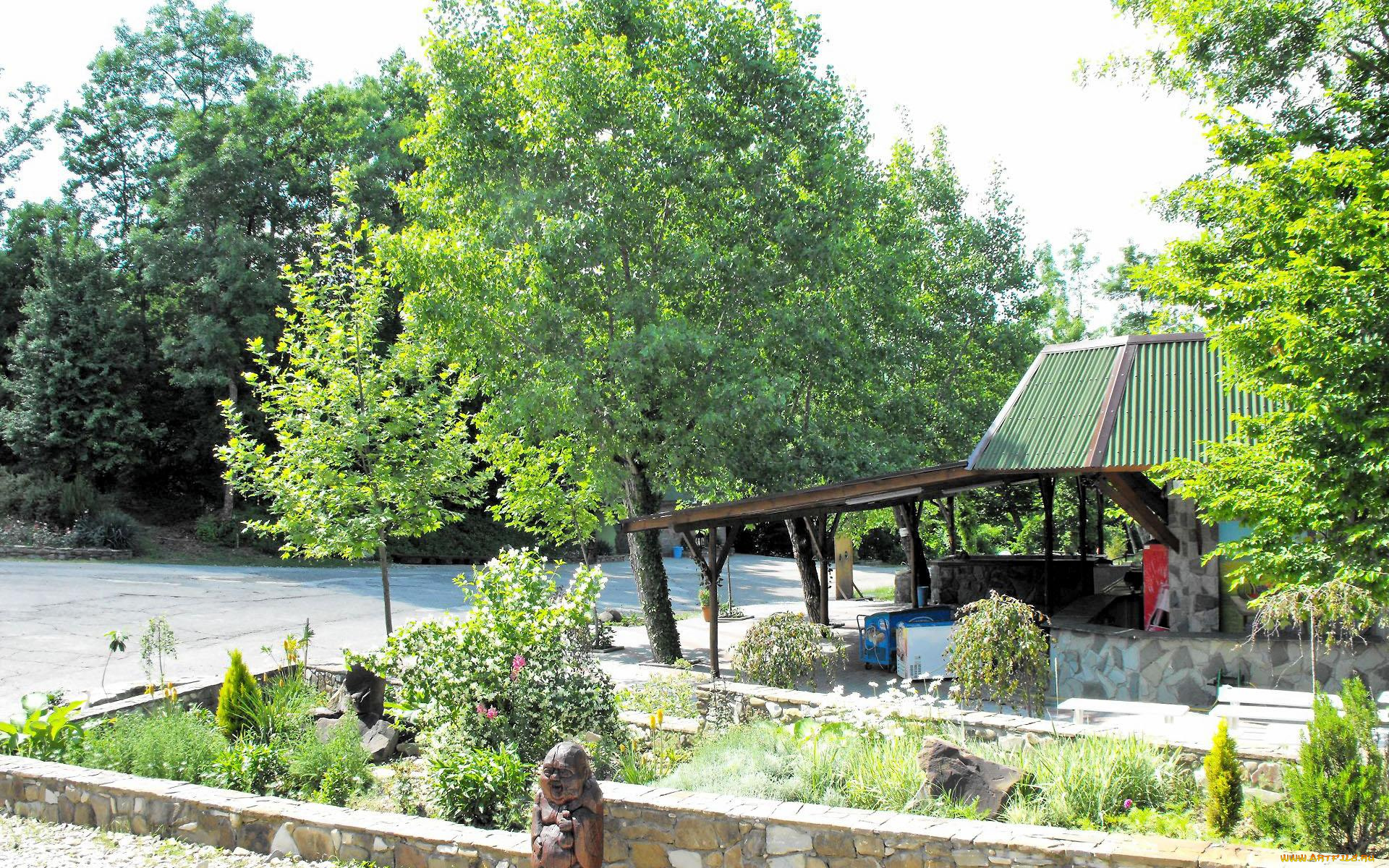 природа, парк