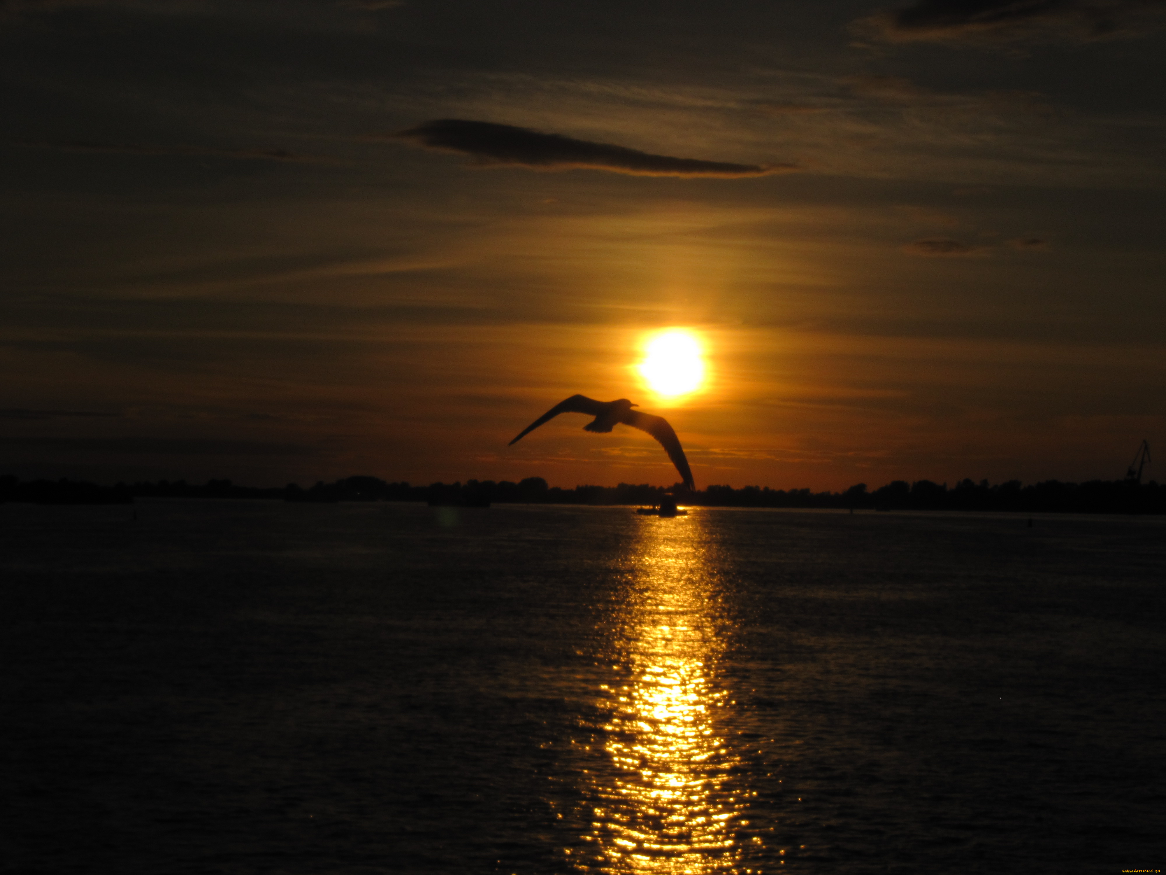 закат, на, волге, природа, восходы, закаты