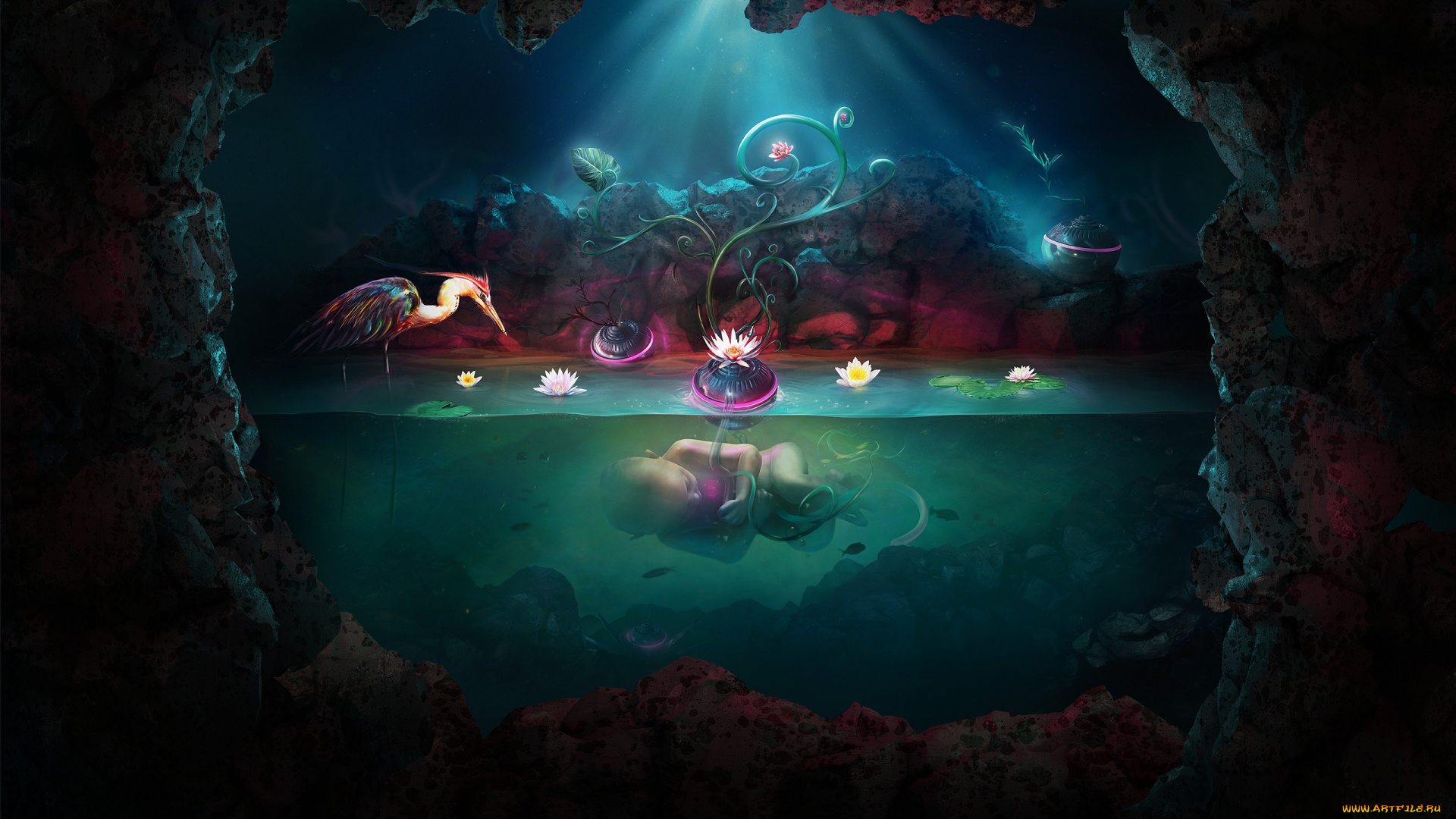 adam, spizak, фэнтези, иные, миры, времена, лилии, пещера, младенец, цапля