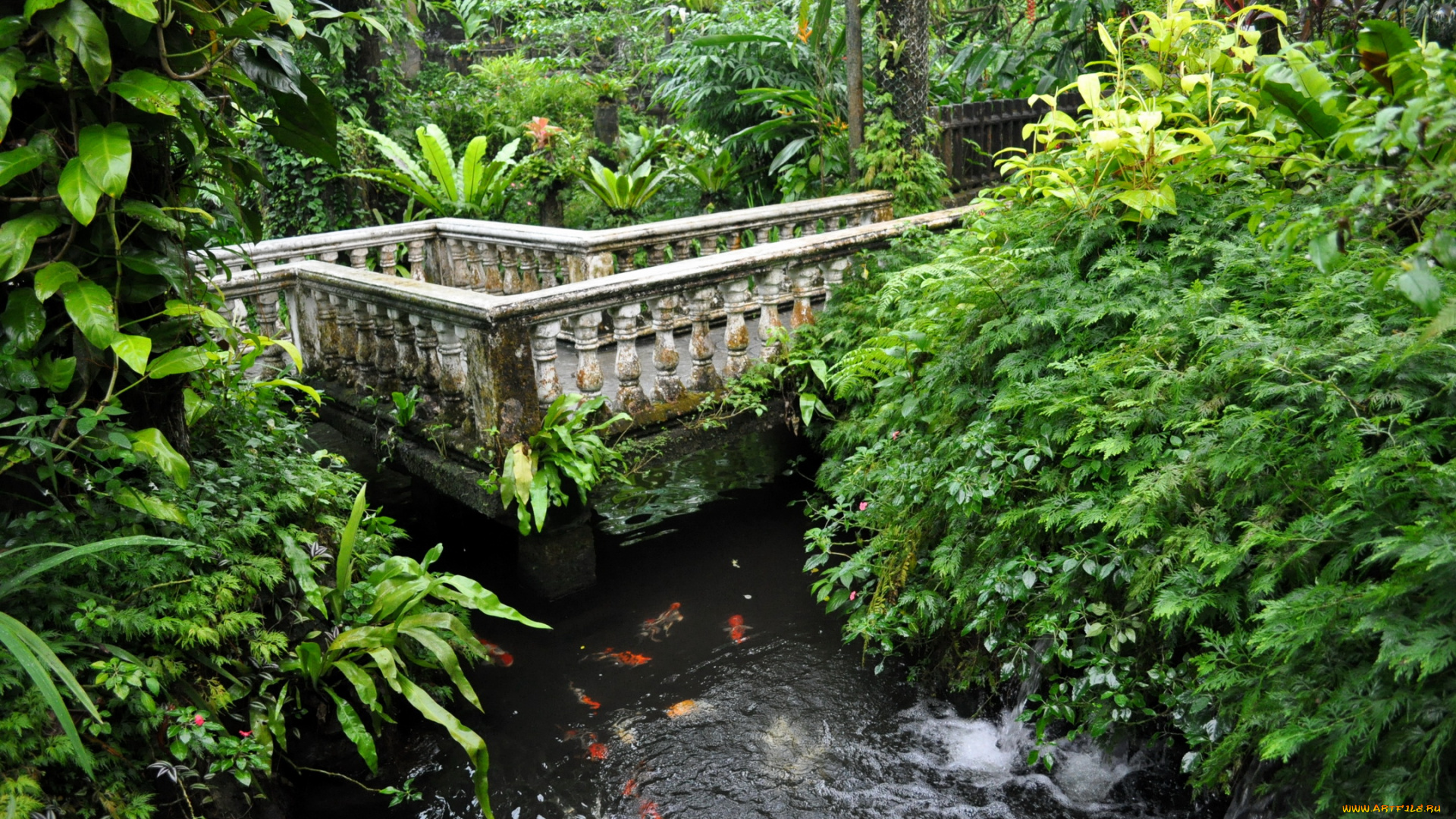 butterfly, park, of, kuala, lumpur, малайзия, природа, парк