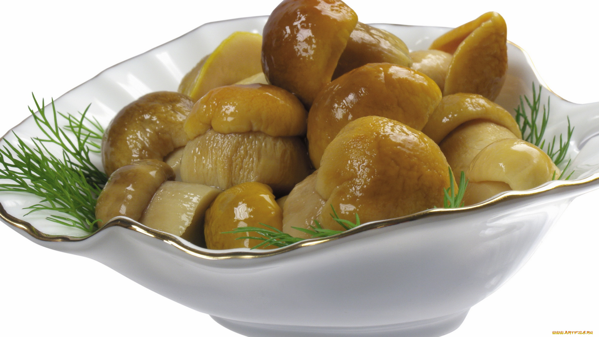 еда, грибы, грибные, блюда, маринованные, тарелка