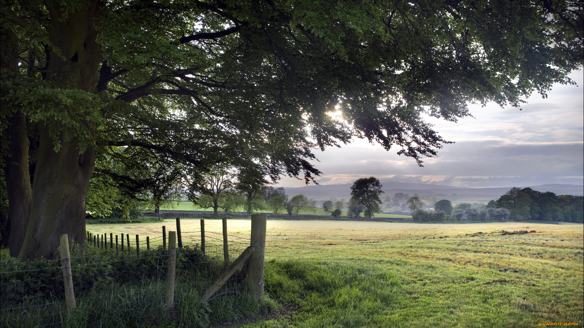 природа, поля, деревья, забор, небо