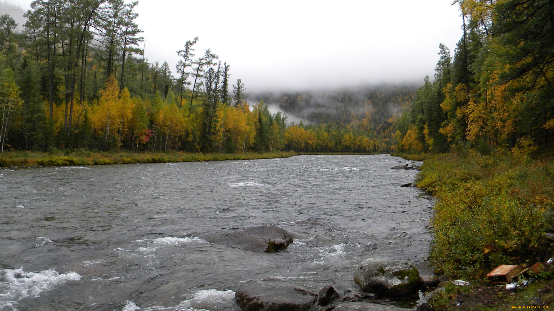 природа, реки, озера, камни, туман, река, деревья