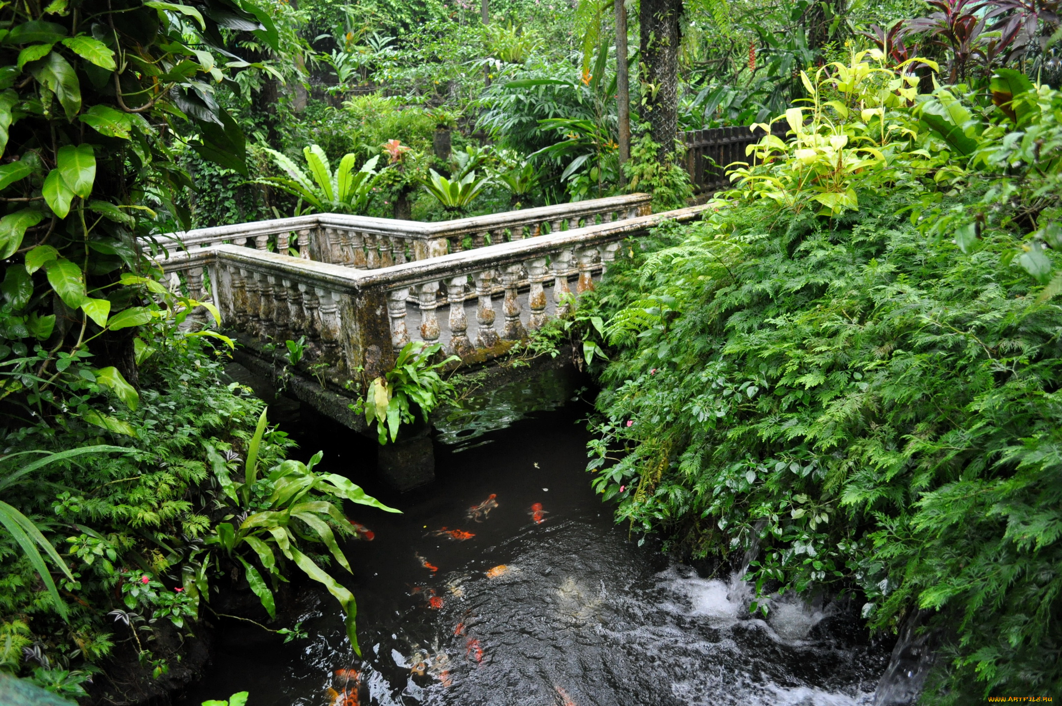 butterfly, park, of, kuala, lumpur, малайзия, природа, парк
