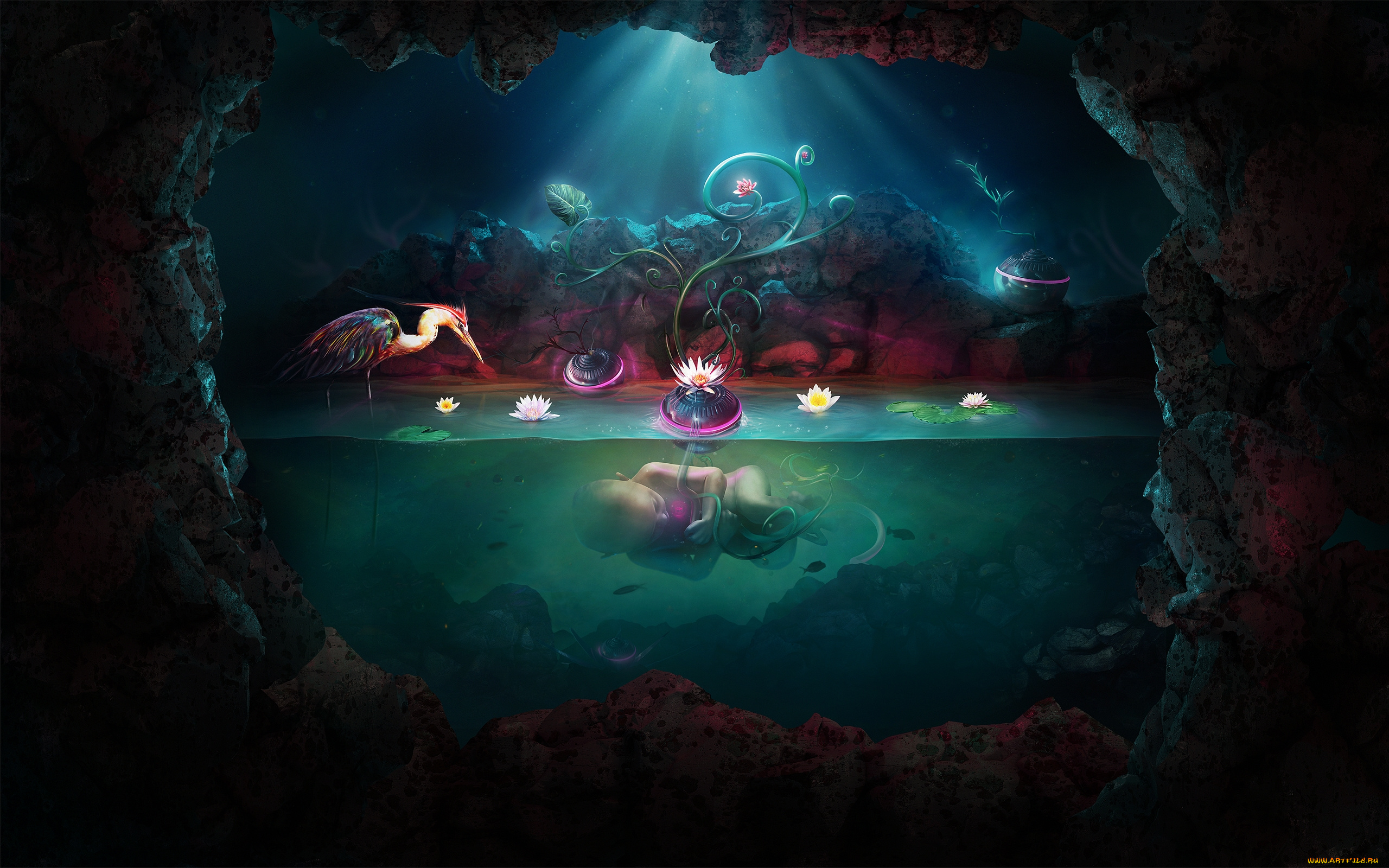 adam, spizak, фэнтези, иные, миры, времена, лилии, пещера, младенец, цапля