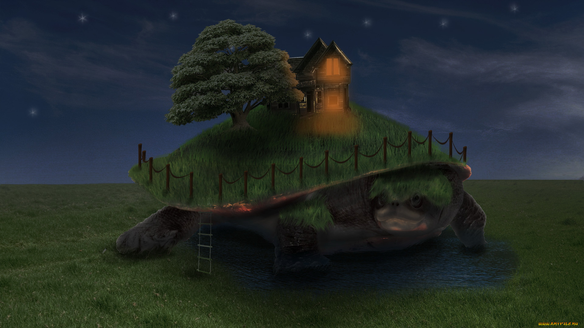 3д, графика, creatures, существа, черепаха