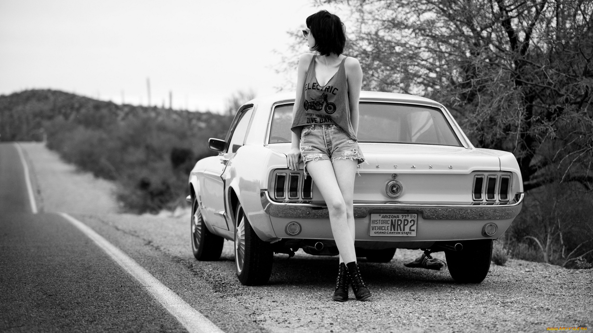 ford, mustang, автомобили, авто, девушками, дорога, обочина