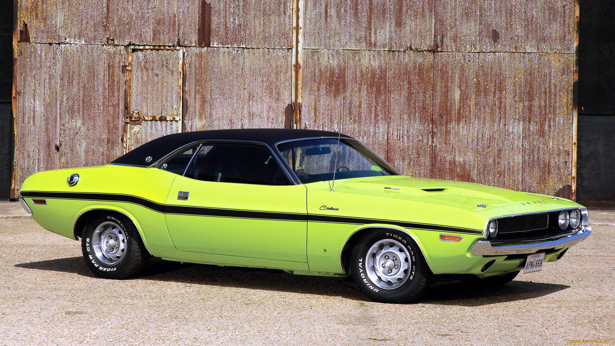 dodge, challenger, автомобили, chrysler, group, llc, сша