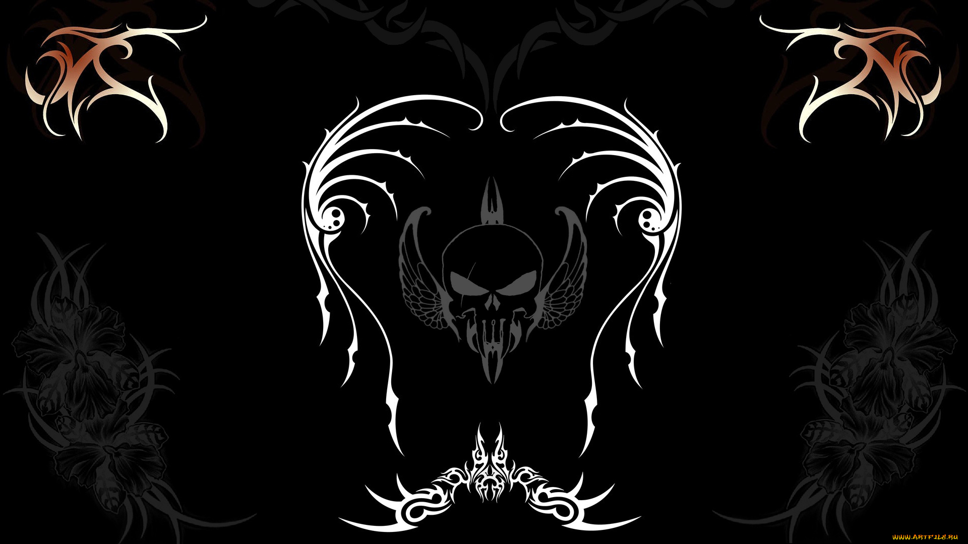 рисованные, минимализм, череп, крылья, графика