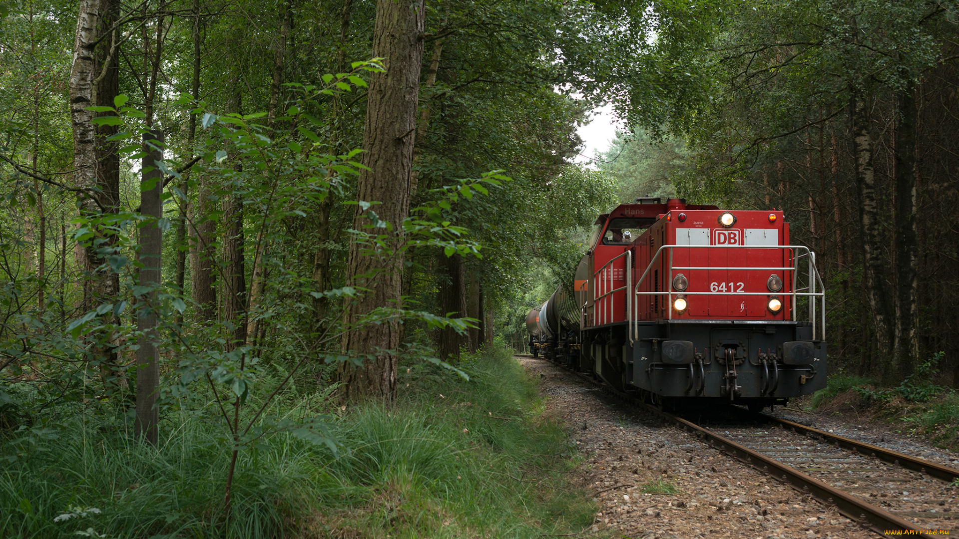 техника, поезда, лес, поезд, рельсы, грузовой