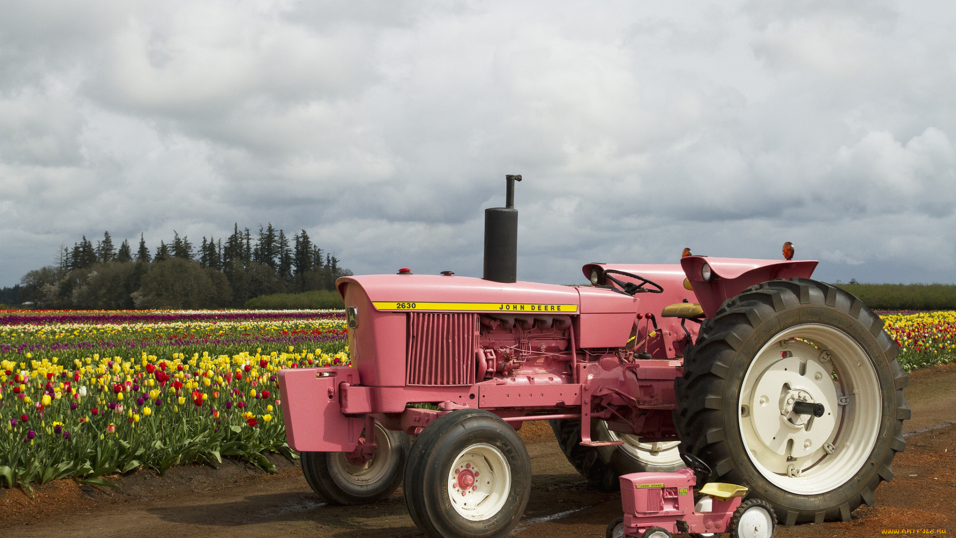 техника, тракторы, поле, колесный, трактор