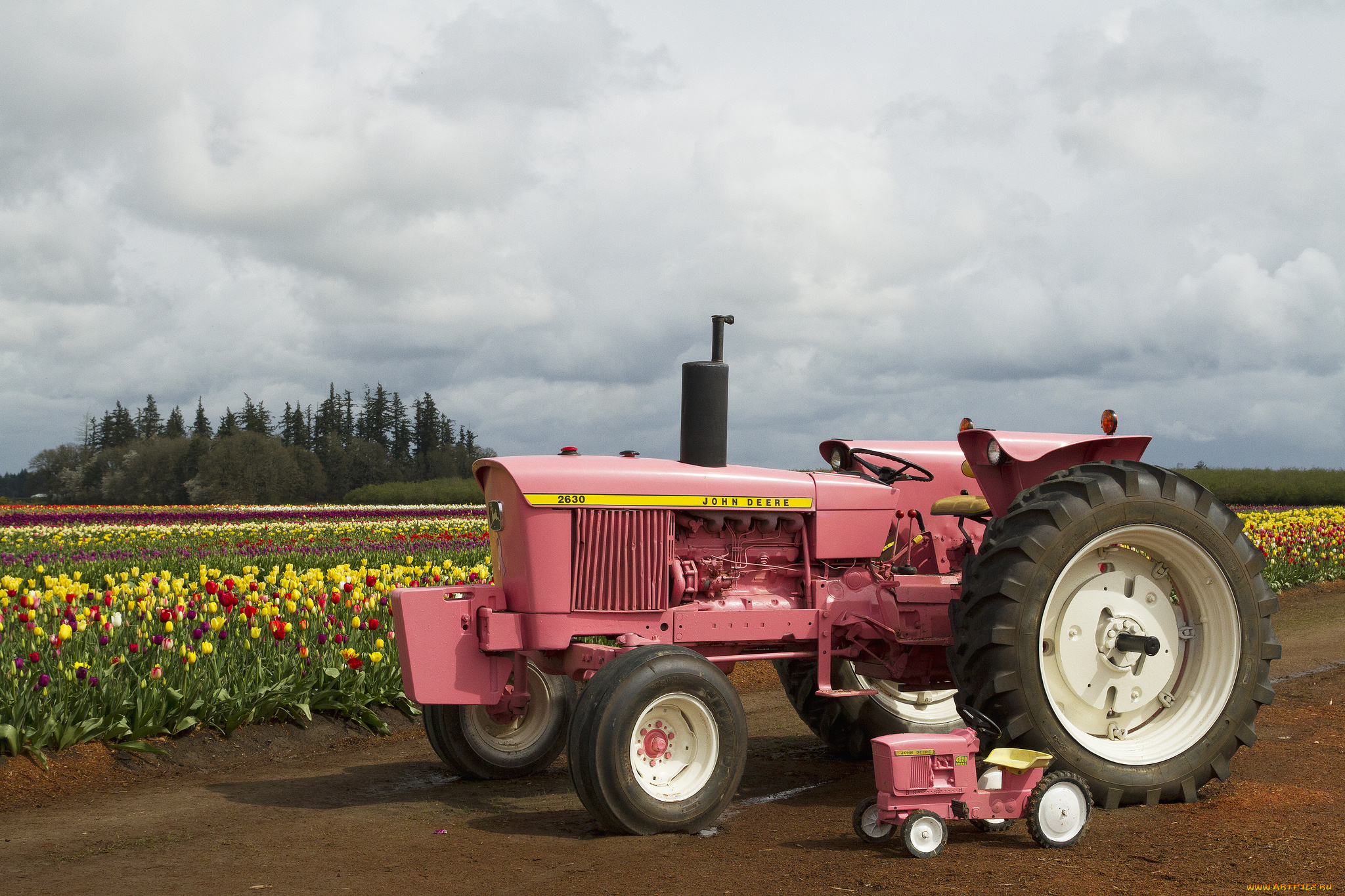техника, тракторы, поле, колесный, трактор