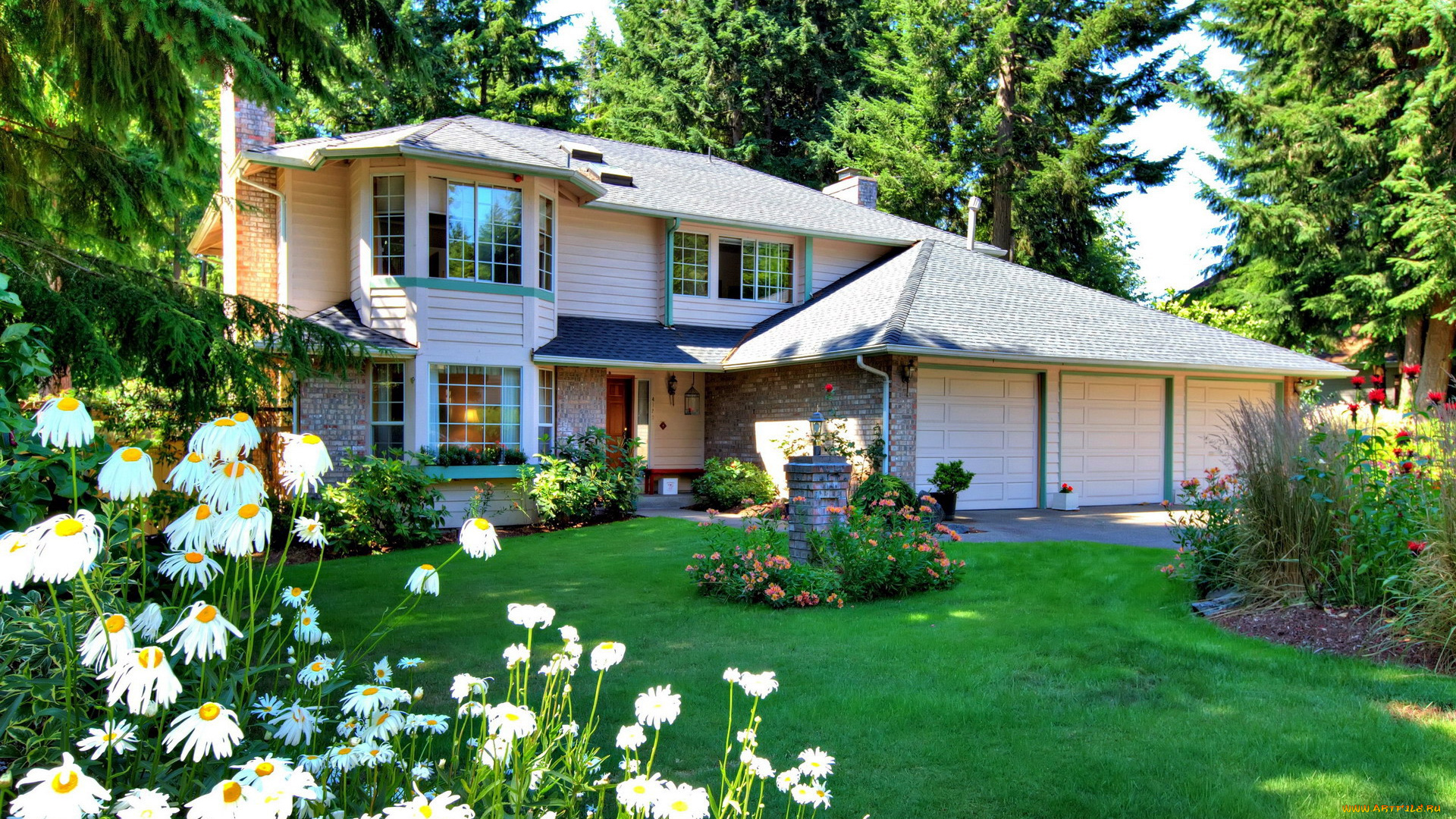 города, -, здания, , дома, клумбы, ромашки, лужайка